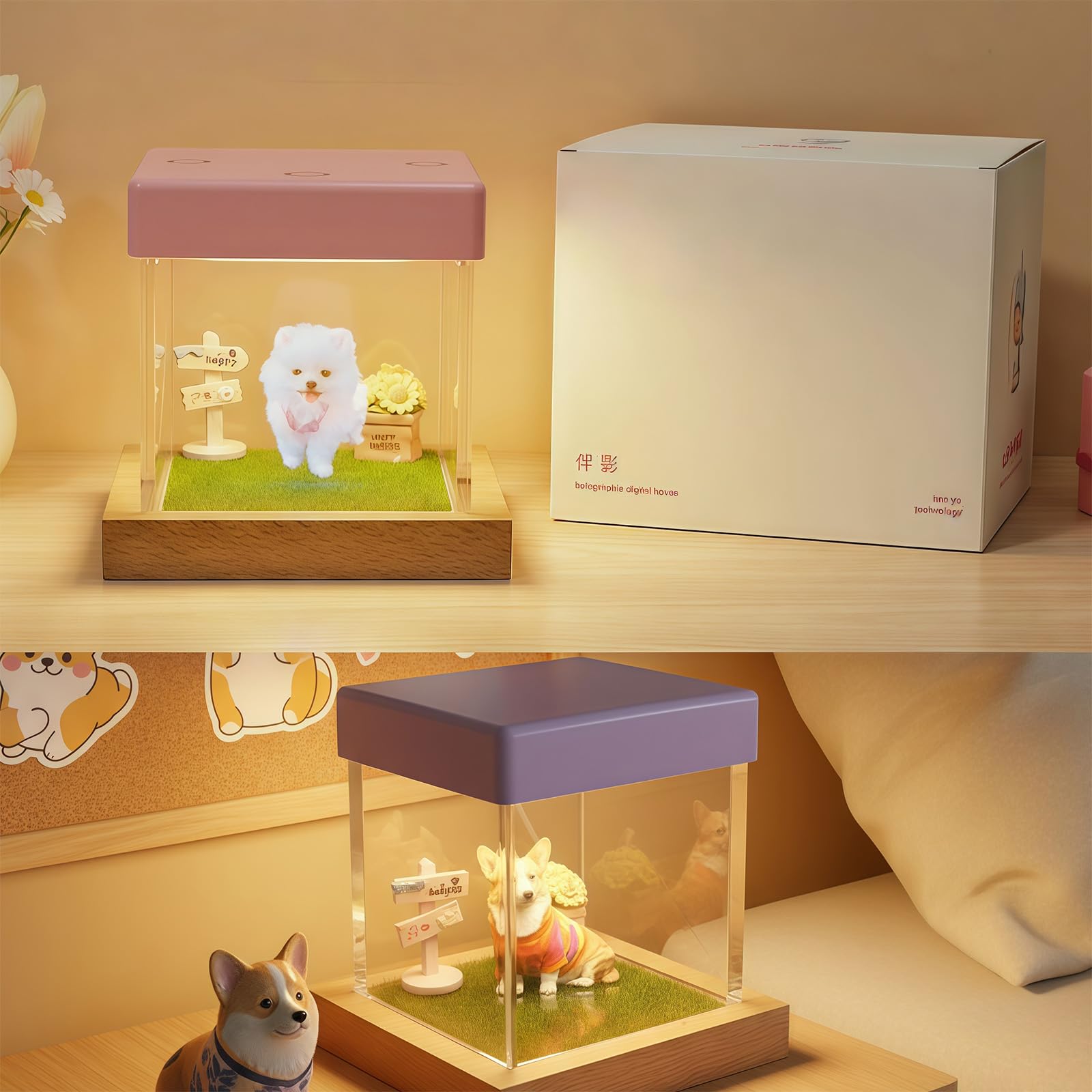 Proiezione ologrammi Scatola commemorativa per Animali Domestici con Immagini 3D Casa Digitale per Amanti Cani e Gatti Ricordi simpatia Regalo Proiezione da Smartphone Ricordi Animali