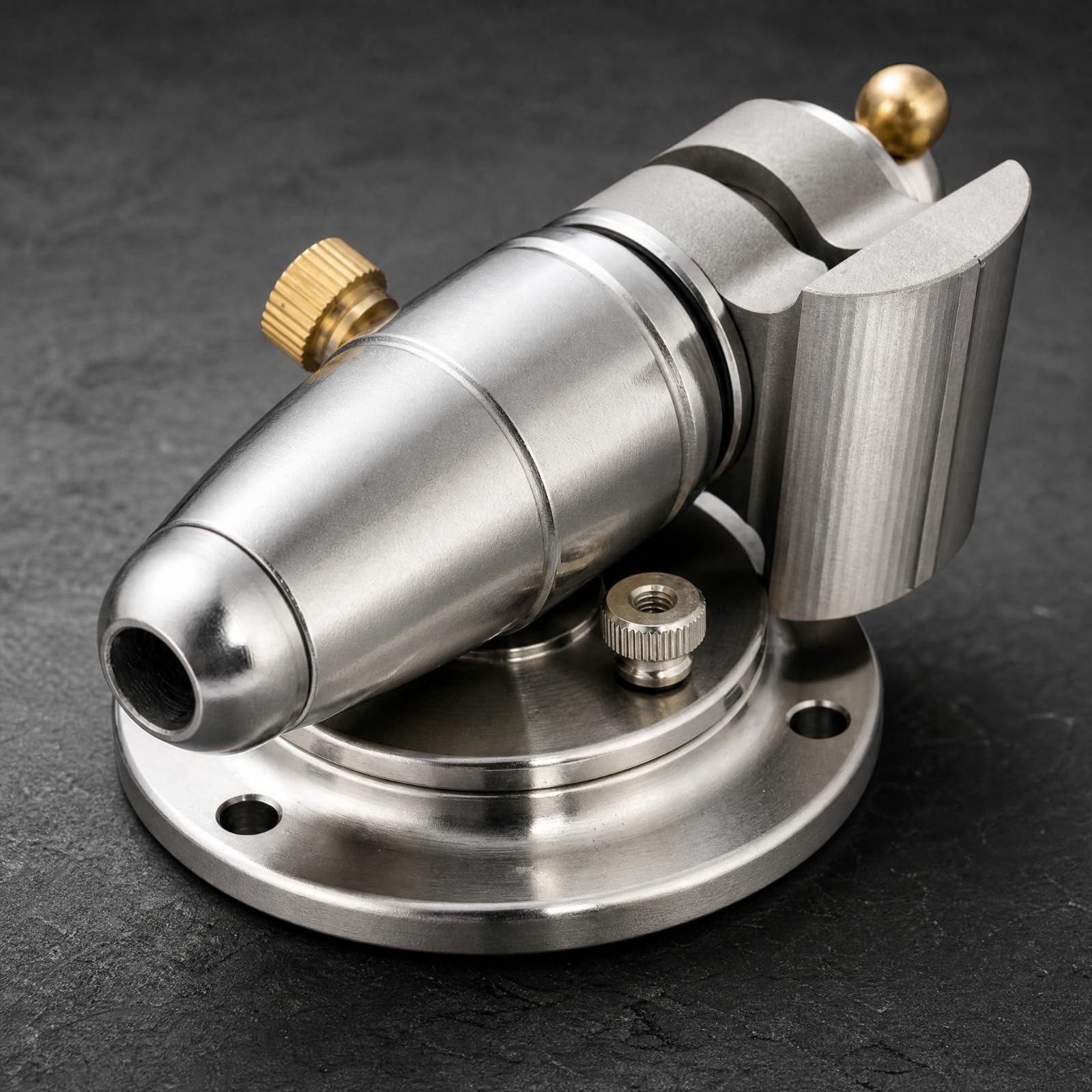predolo Morsa Mini in Acciaio Inox Compatta Mini Morsa a Vite per Orologiai, Hobbisti, Officina
