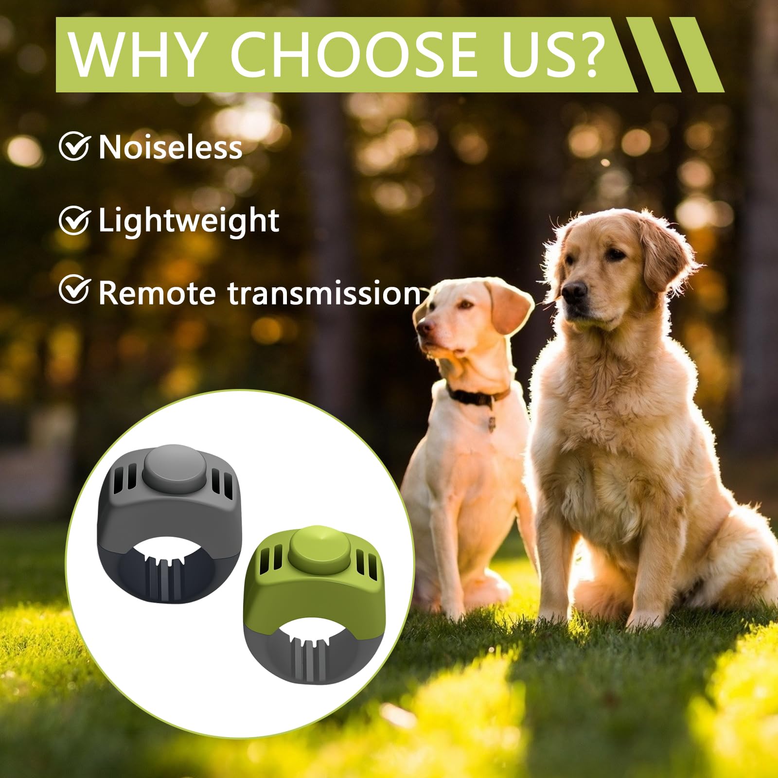 2 Clicker Chien Dressage avec Anneau 19mm/21mm, Clicker pour Chien en Vert & Gris, Clicker Chien pour Dressage Chiot, Éducation & Rappel