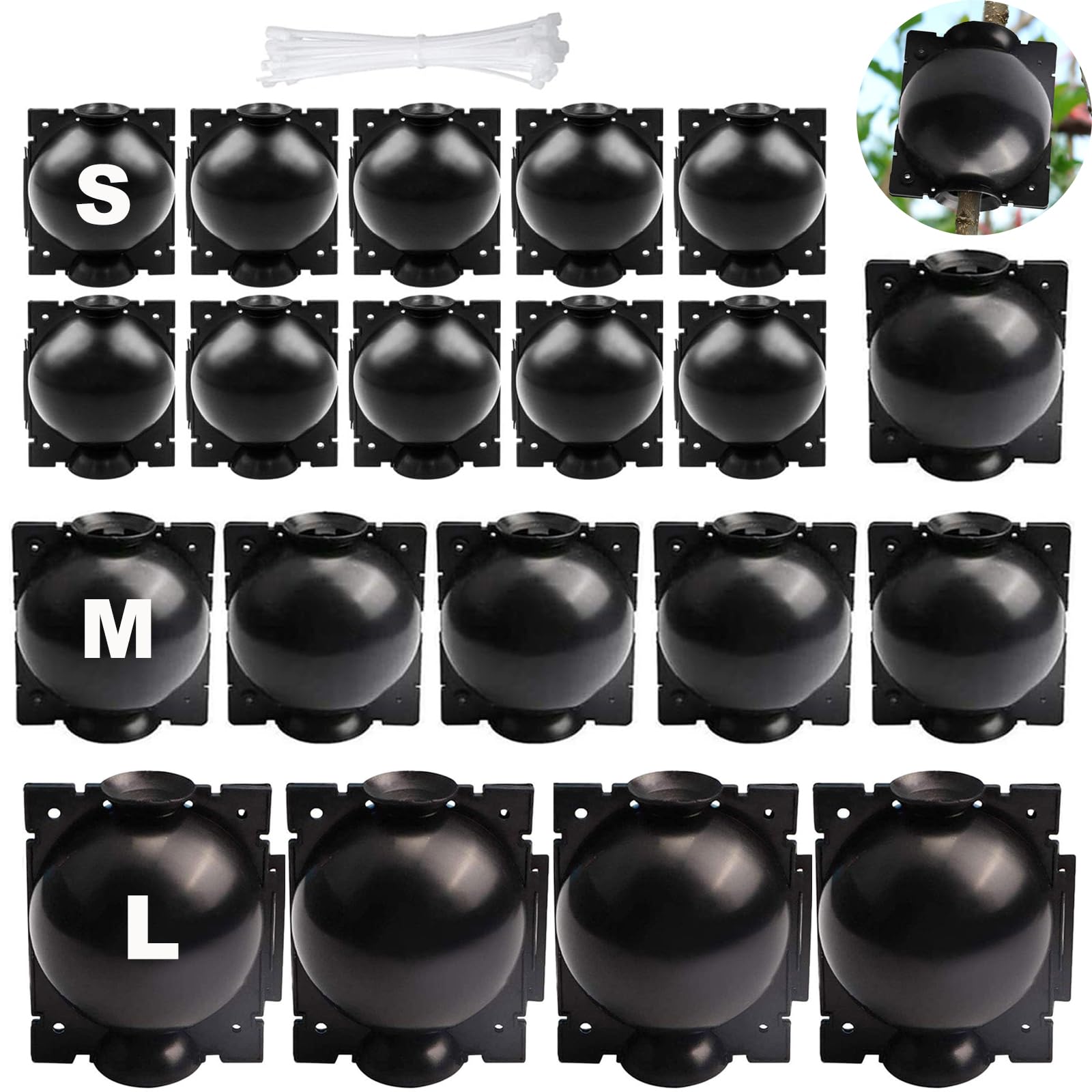 Mikiuly Boîte De Greffage Plantes 6pcs - Dispositif Enracinement Propagation Boutures, Balle Propagation Jardin