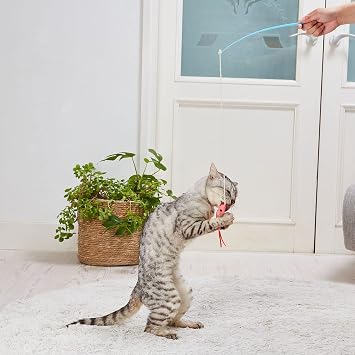 Petio Cat Kicker Toy with Teaser, Mini Shrimp