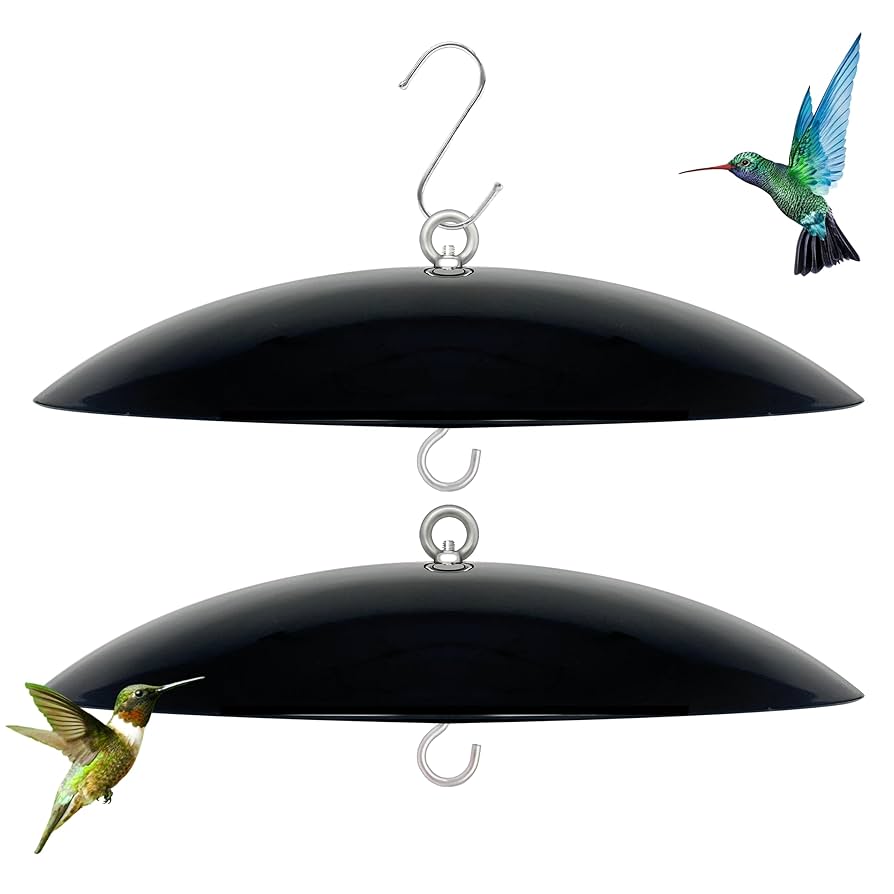 How to Keep Raccoons Away from Hummingbird Feeders: Effective Tips