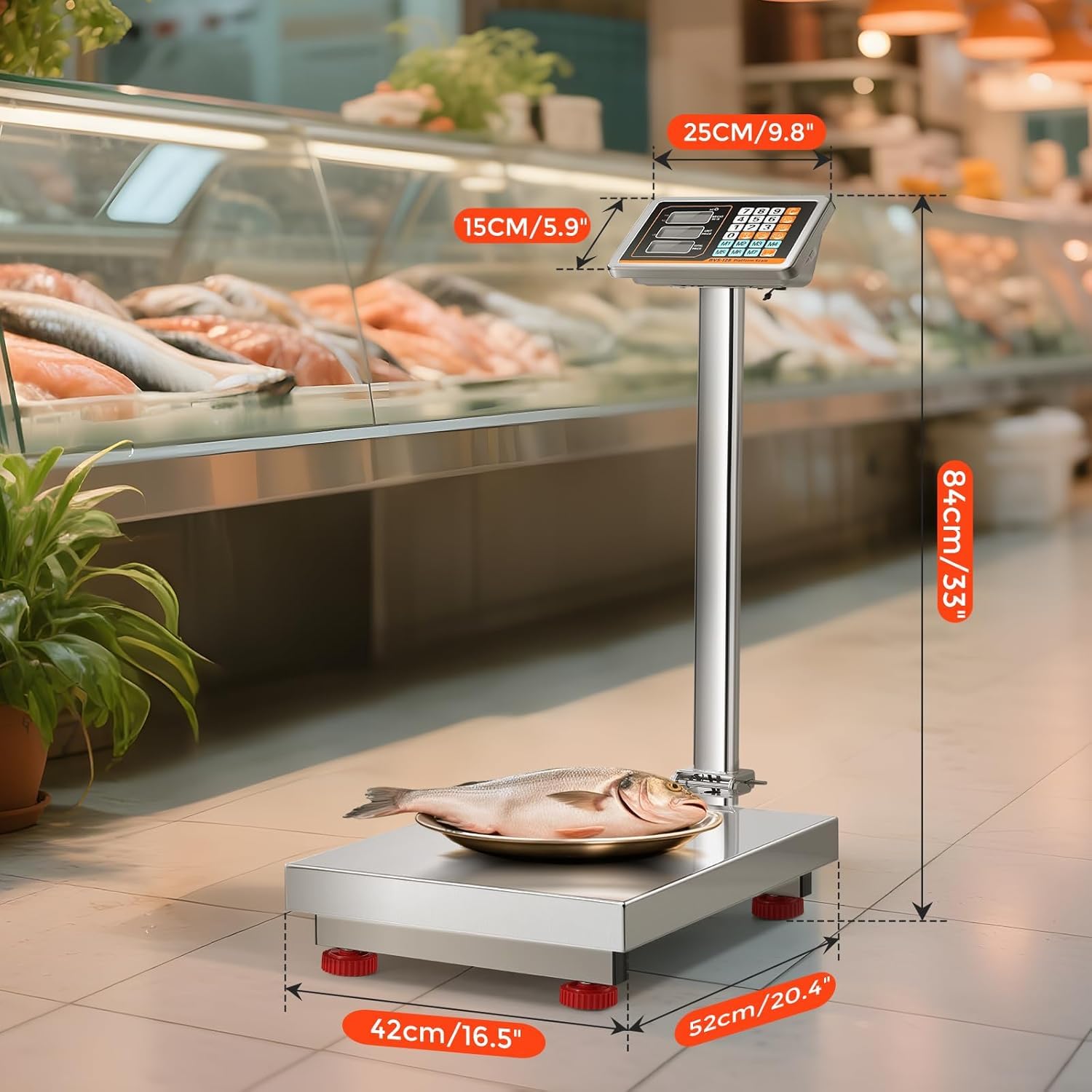 Bonvoisin Bilancia Piattaforma Industriale 300kg/0,1kg, Piatto Inox 52x42cm | Bilancia per Colli e Pavimento con Alimentazione Rete/Batteria, Bilancia da Banco Impermeabile per Pacchi, Bagagli e Cartoni