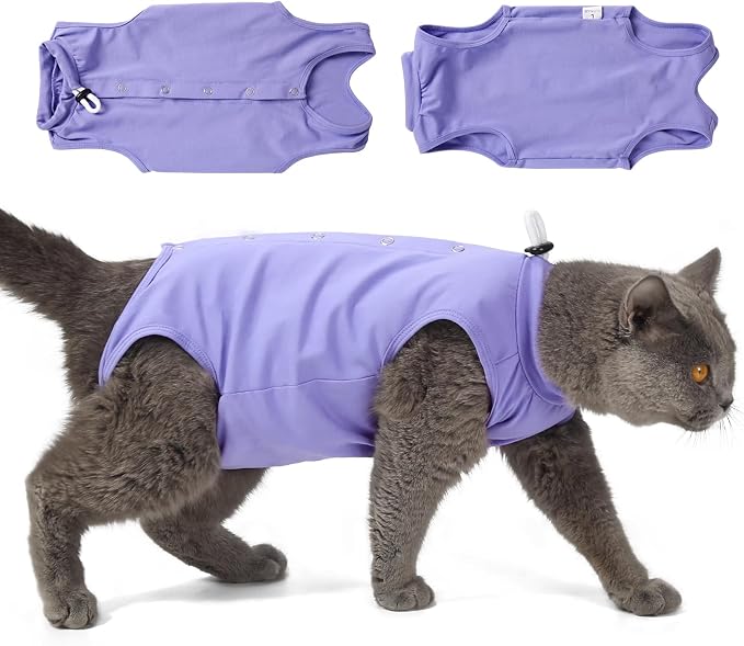Poiinvc Cat Recovery Bodysuit: Comfort Meets Functionality