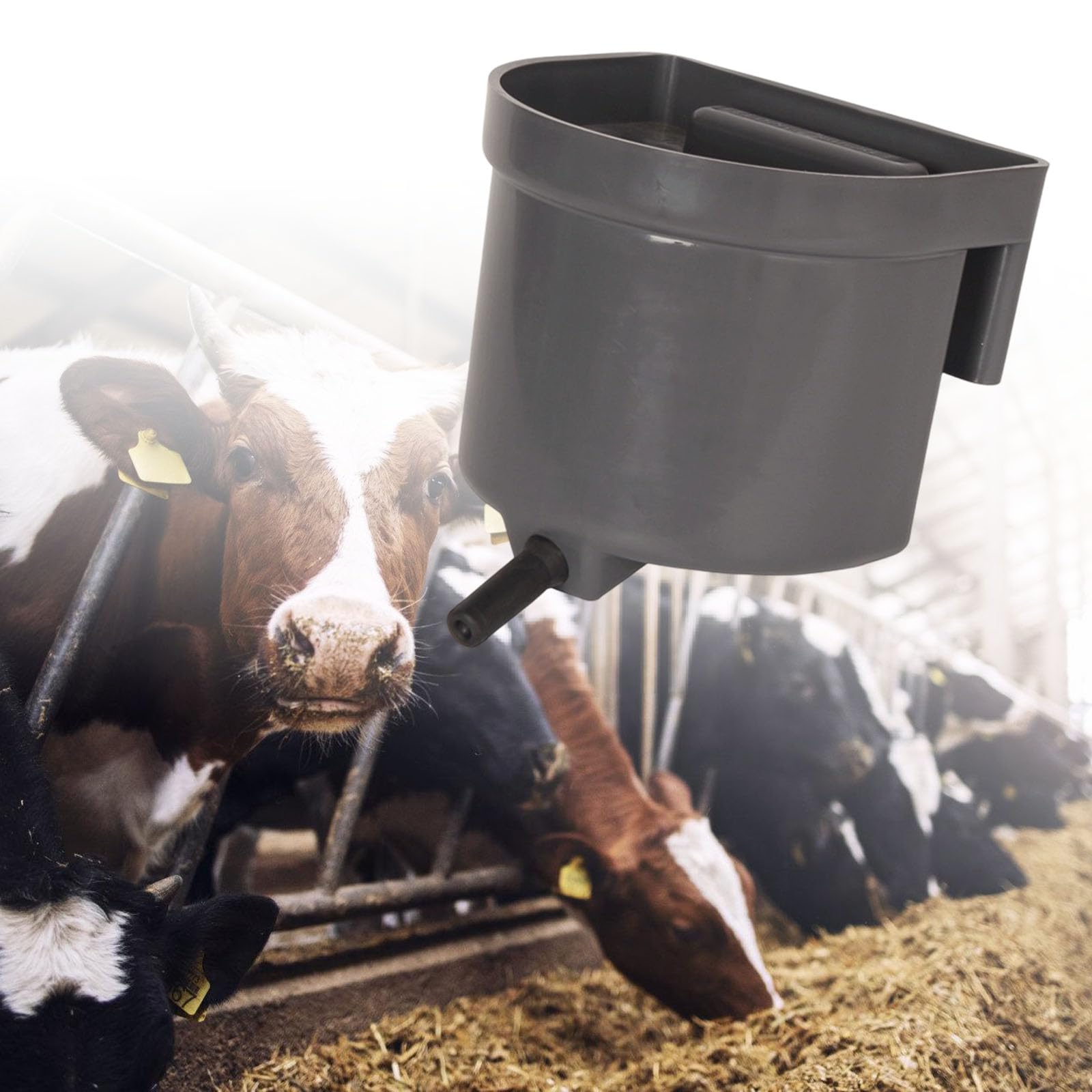 Contenitore per latte di vitelli in polipropilene di tipo pesante superfici interne lisce per pulizia rapida e igiene agricola Contenitore per latte di vitelli di tipo pesante
