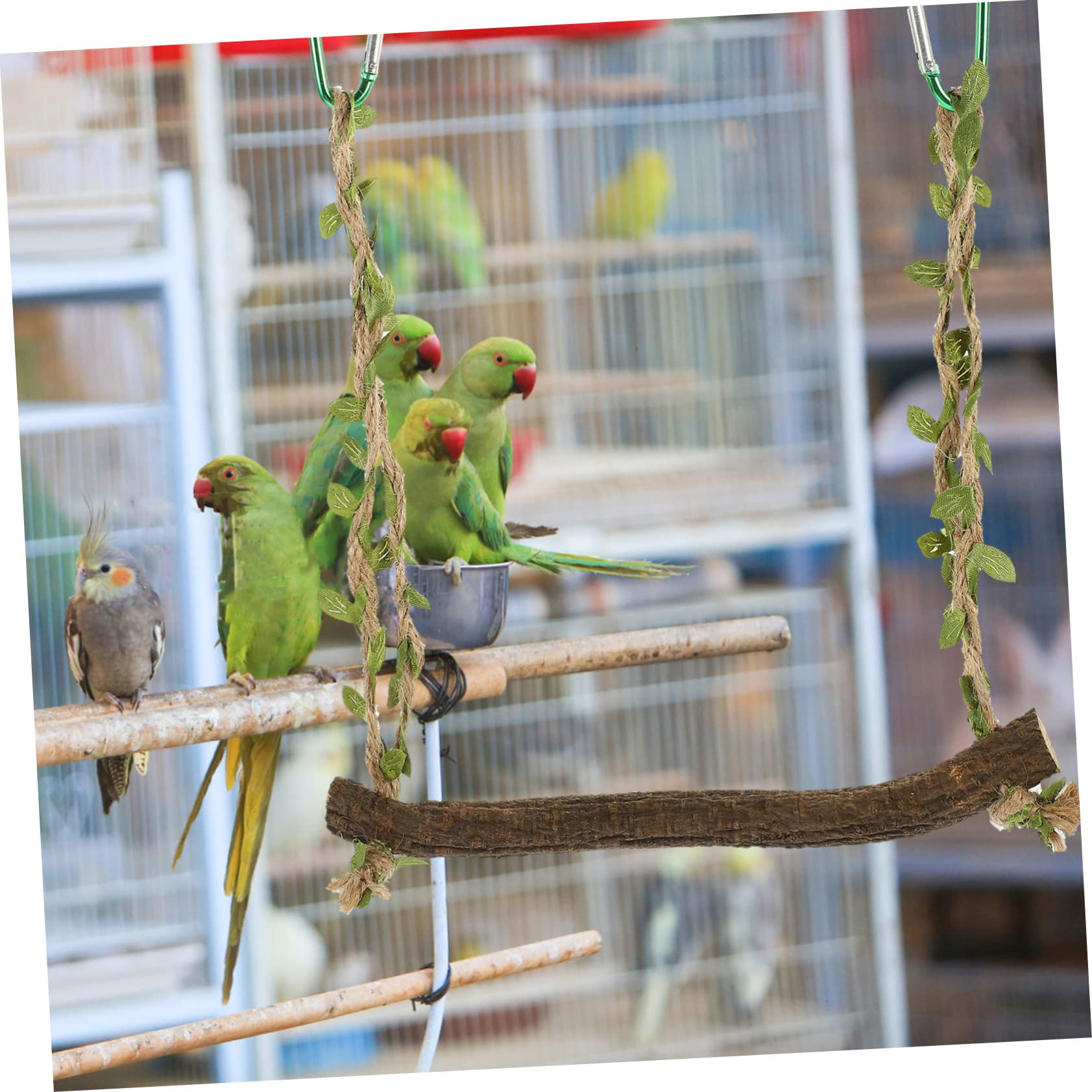 BESPORTBLE 5pezzi Swing Per Uccelli Legno Naturale Per Pappagalli e Parrocchetti Giocattolo Appeso Per Intrattenimento e Allenamento Degli Uccelli Domestici Facile Da Installare e Resistente
