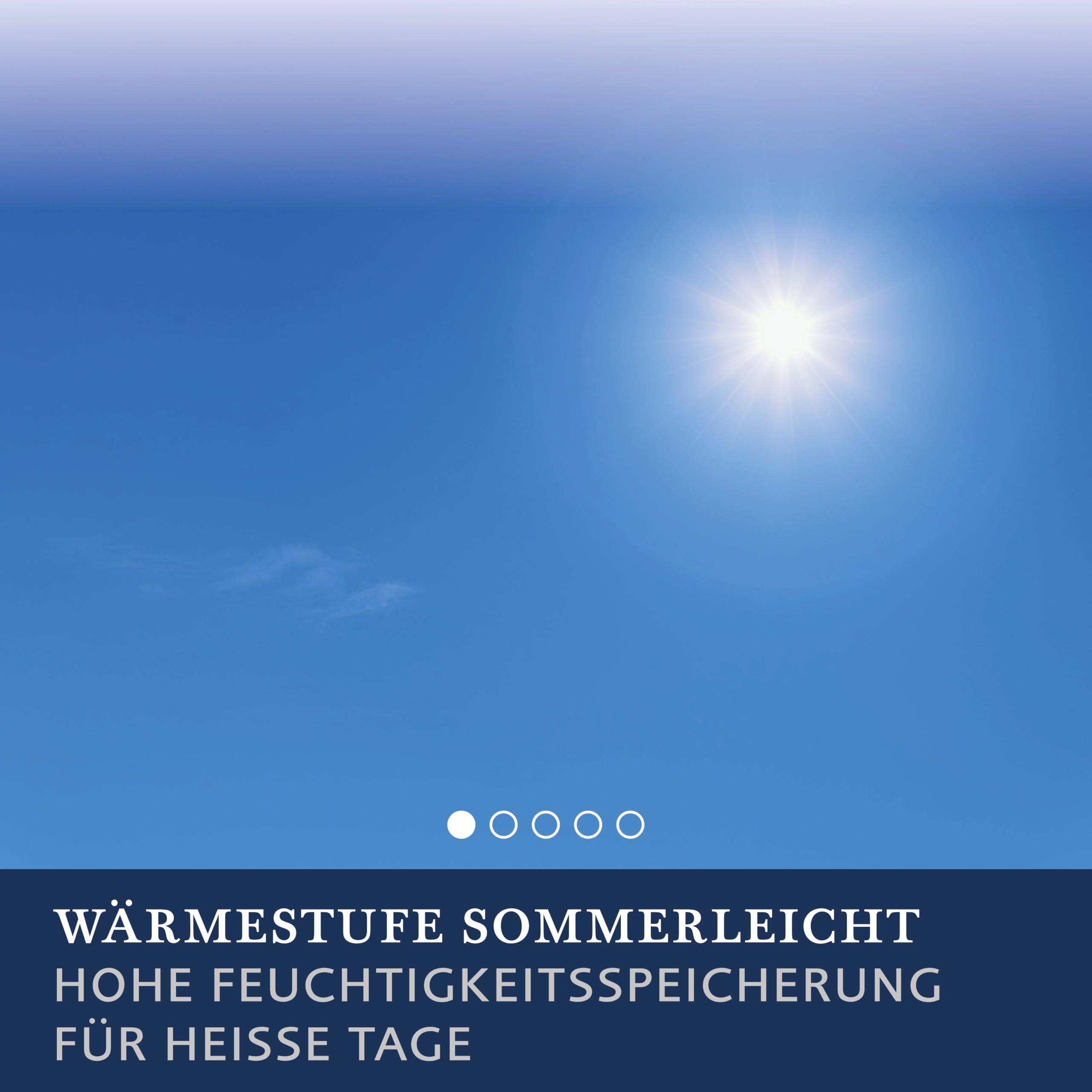Billerbeck Bettdecke Sari – ca. 155 x 220 cm – leichte Sommerdecke – kühlende dünne Decke für den Sommer – aus Tussah Seide