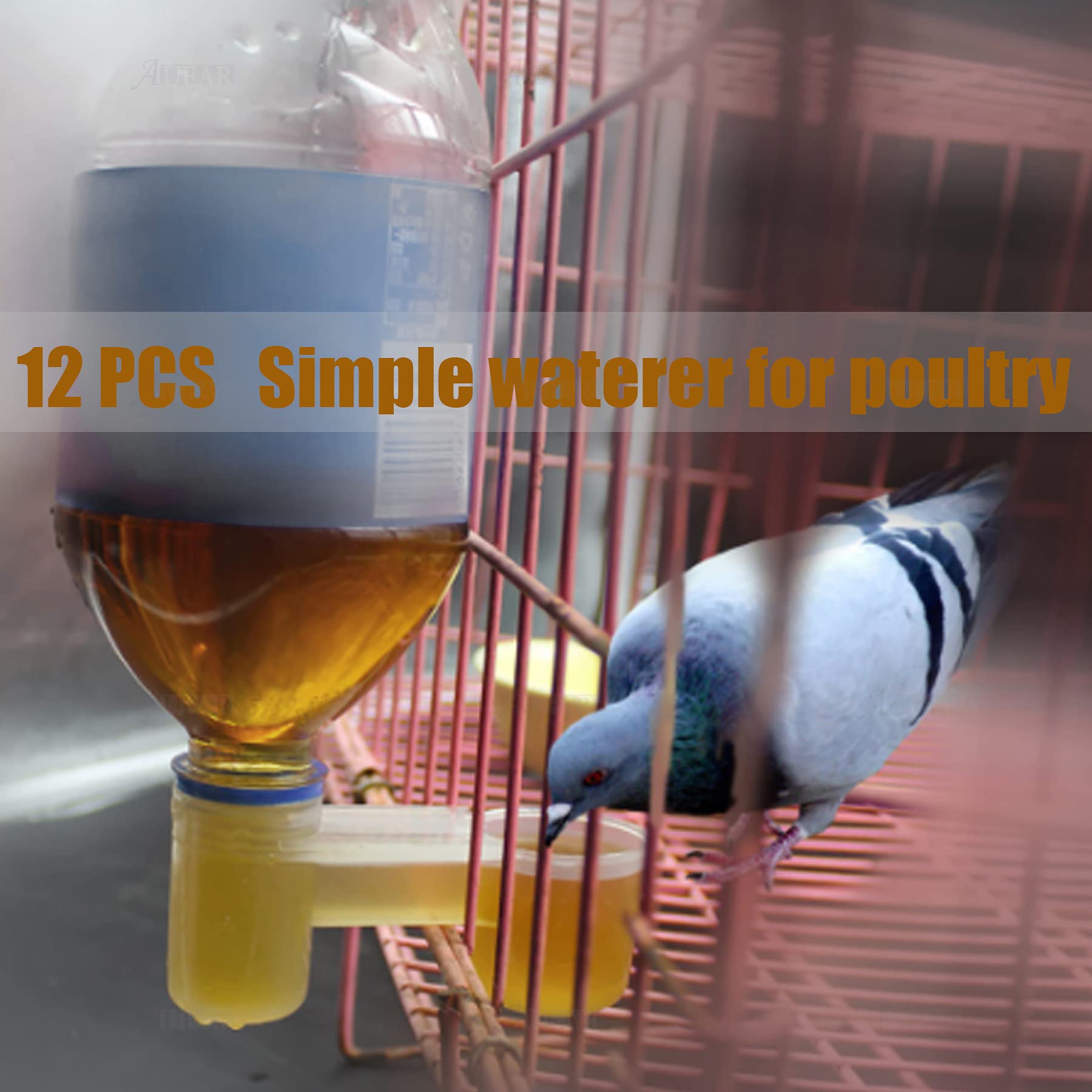 AUEAR, Set of 12 Bird Drinker Feeder Cup Soda Pop Water Bottle Plastic for Pigeons Parrot Chicken Supplies (Clear)