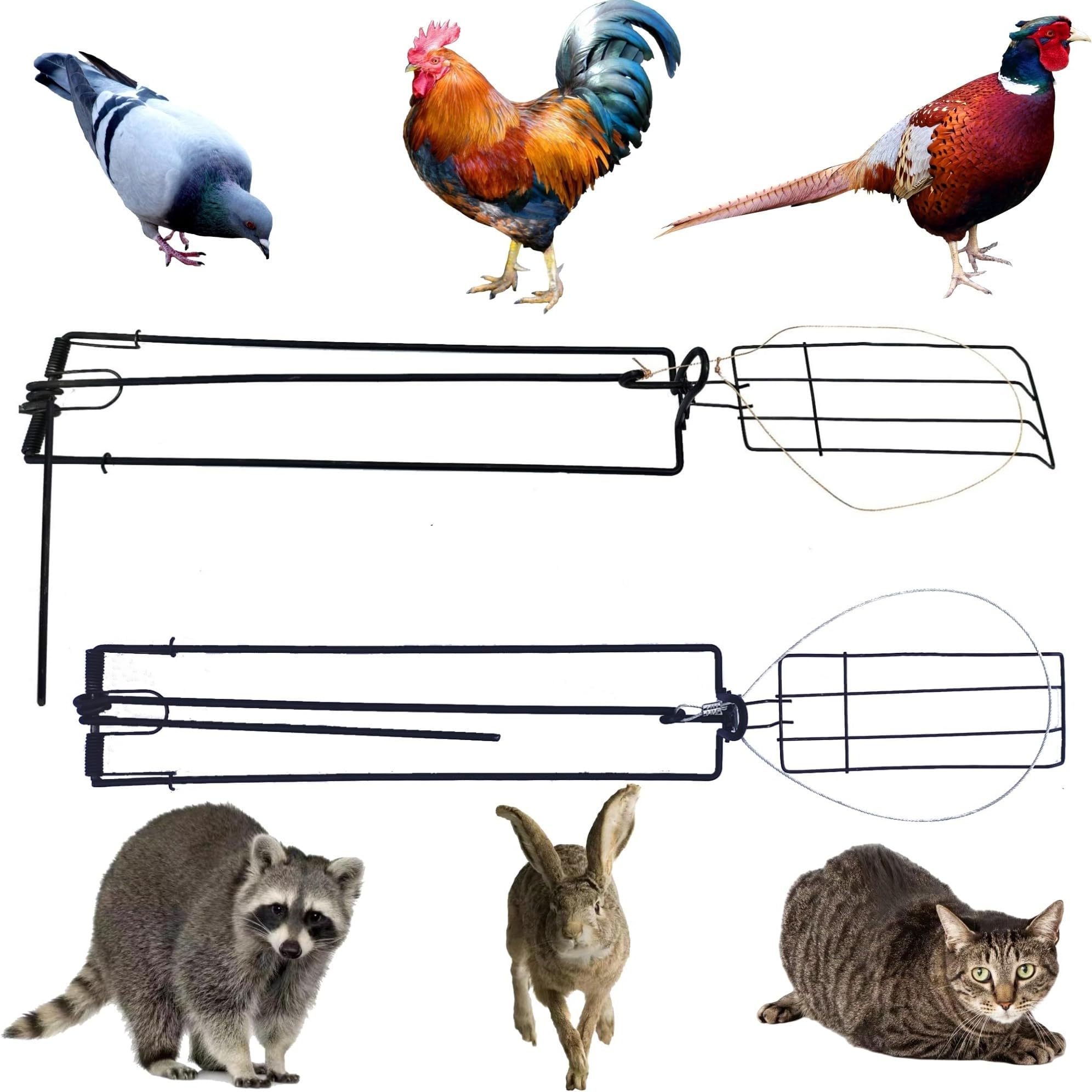 Amazon.com : 12 Pcs Trap Wire 36โ 1/16โ 7x7 for Setting Traps for ...