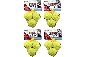 Tiny Kong: The Ultimate Tennis Treat for Your Furry Friend