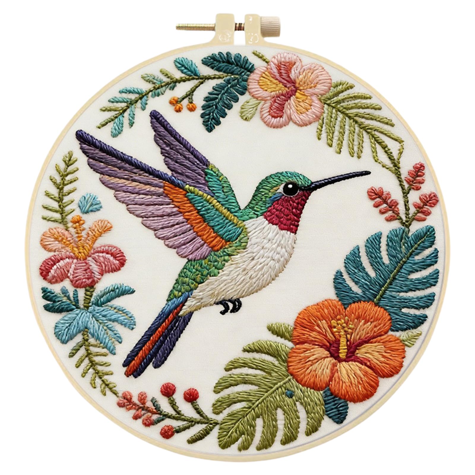 Hummingbird Garden DIY Stamped Embroidery Kit for Beginners Adults Craft Lovers Gifts Cross Stitch Kits with Embroidery Hoop 29x29cm (Hummingbird Garden)