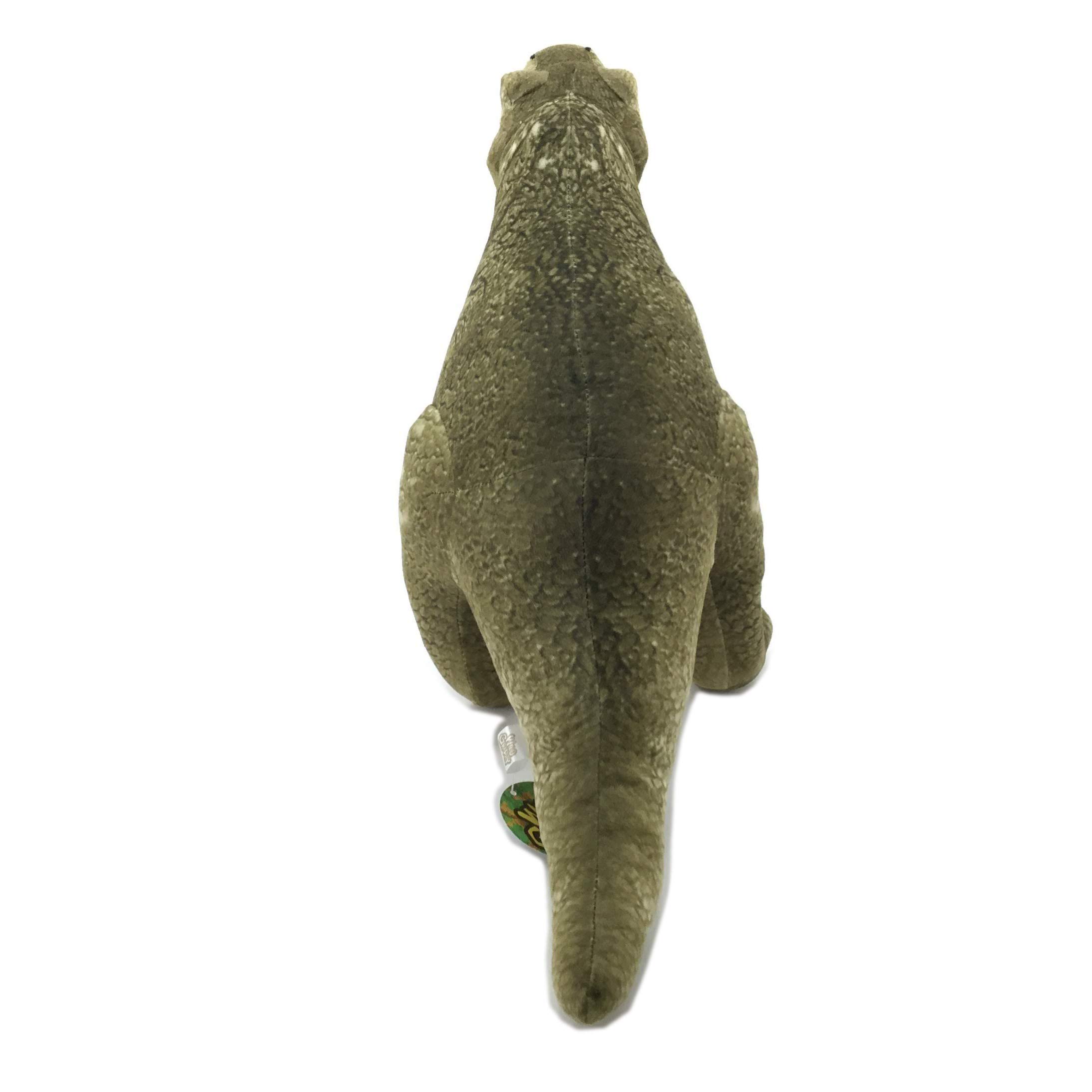 ✨新品✨超レア ♪ ★グラグラ★大型ぬいぐるみ♡5点セット✨非売品❗️送料無料❗️✨ Amazon.co.jp: 太洋産業貿易 ぬいぐるみ ワイルドグラフィ 恐竜