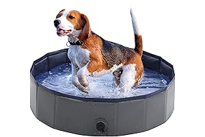 Foldable Dog Pool: Cool Summer Treat for Your Small Furry Friends
