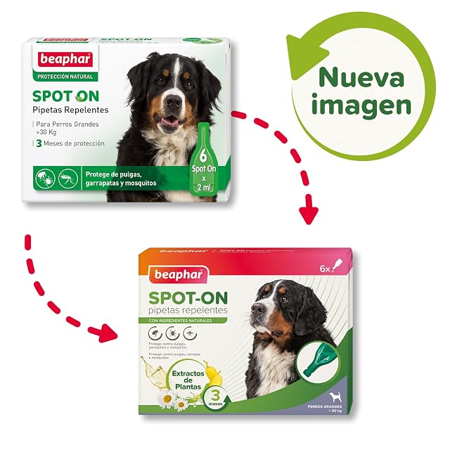Foto 2 de 7 de Beaphar Pipetas repelentes Naturales para Perros Grandes (más de 30 kg)