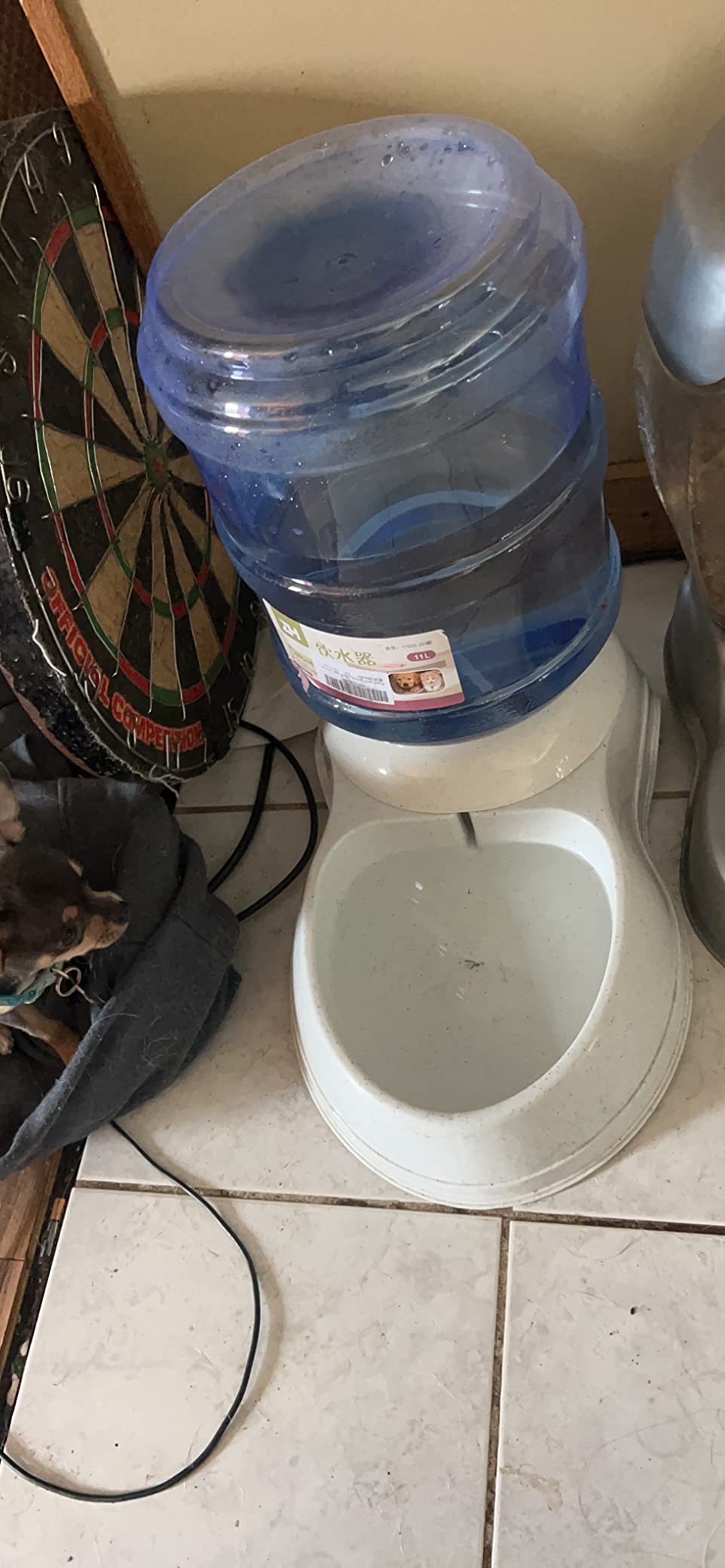 Old Tjikko Water Feeder for Dogs,1 Gallon Feeding Waterer