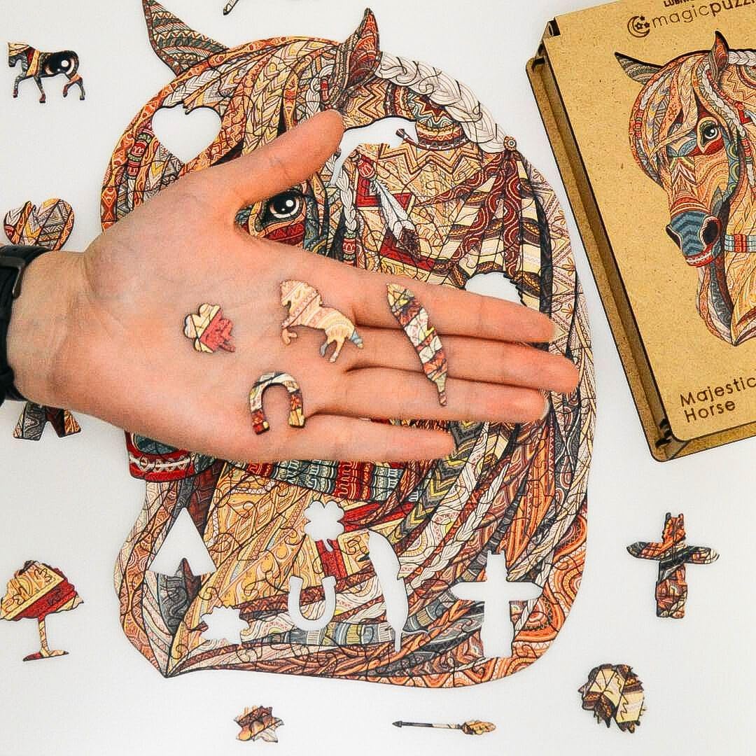 View 5
