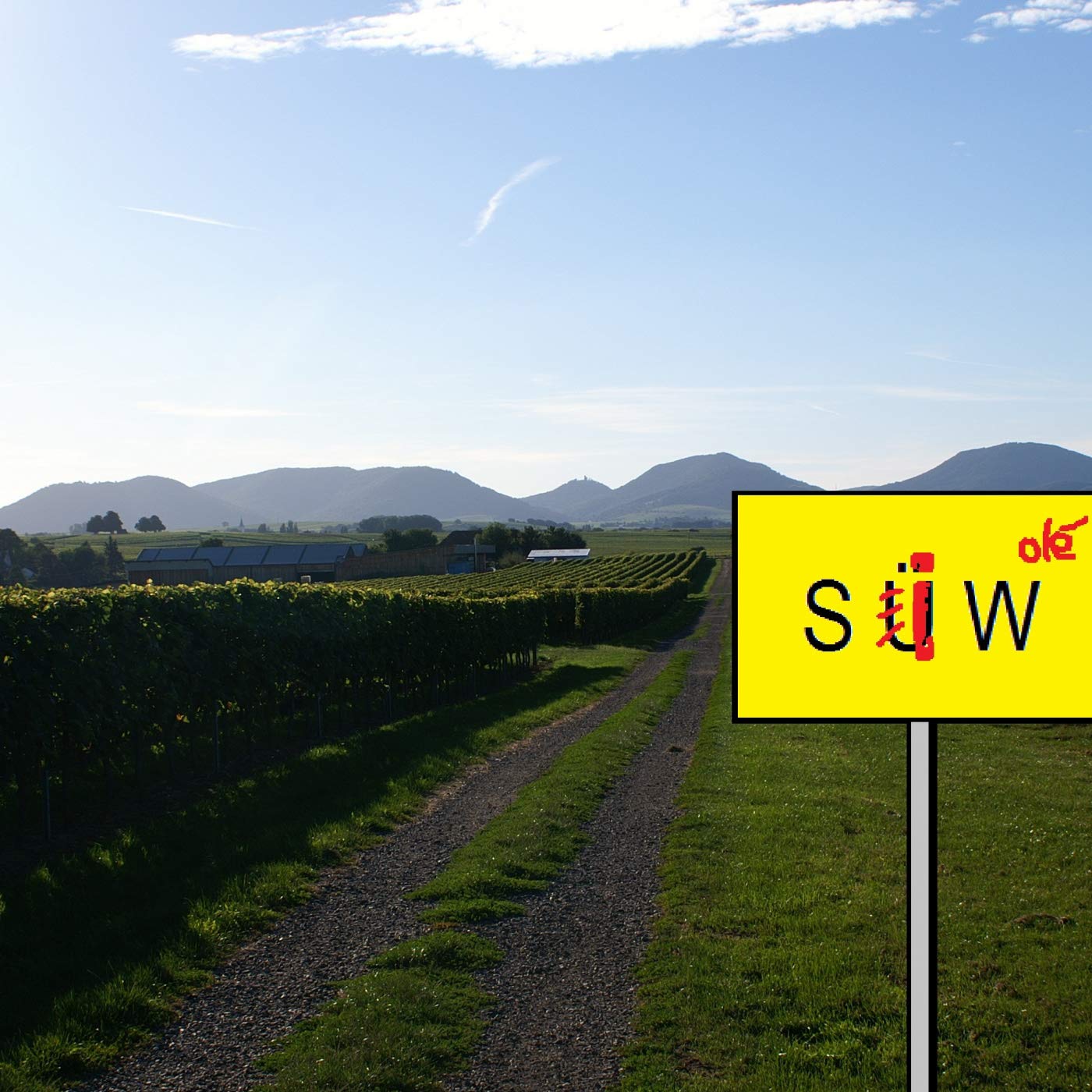 Gerold Steiner Sauer