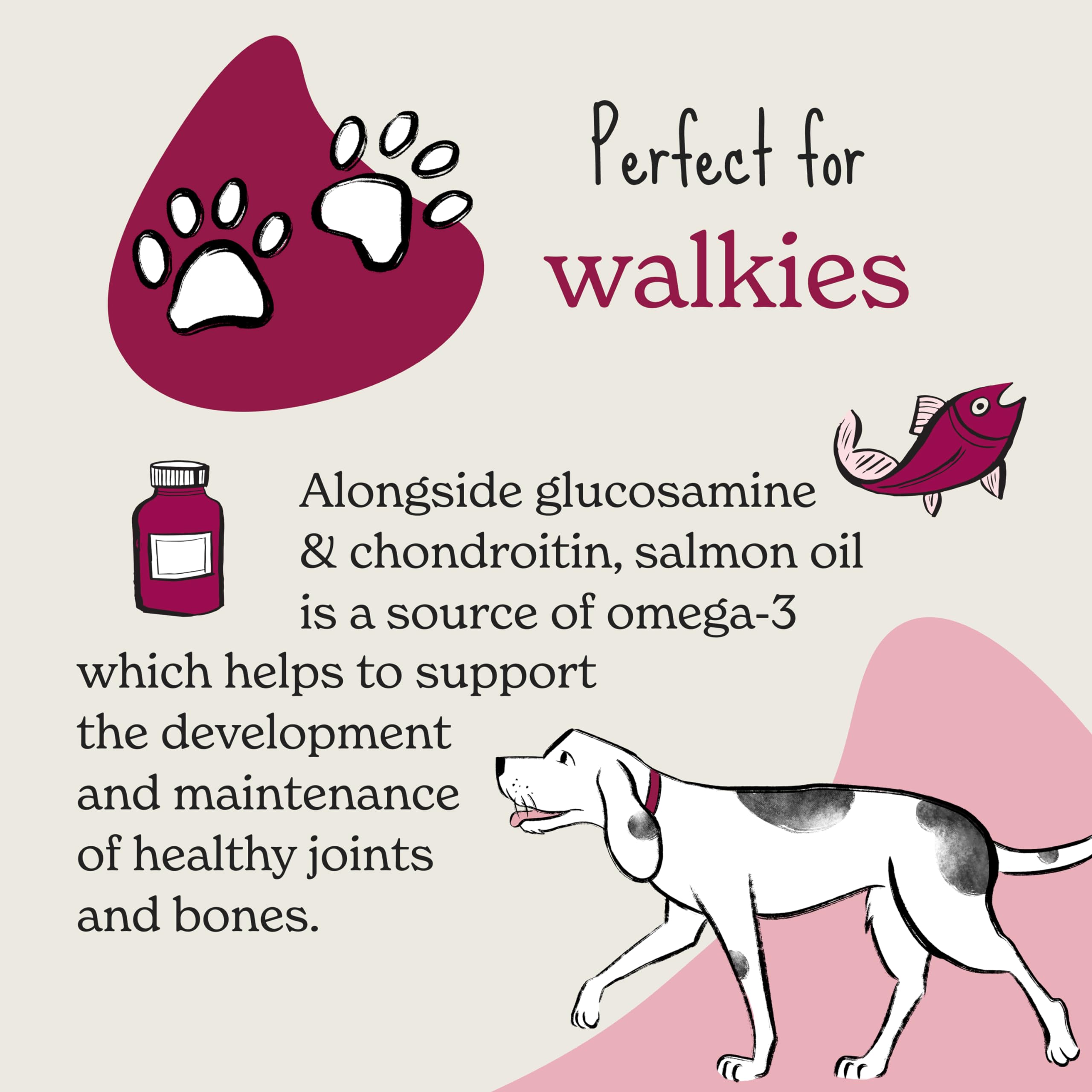 Forthglade Natural Dog Treats (4 x 90g Bags), Hypoallergenic & Grain Free Dog Treats with Salmon - Image 4