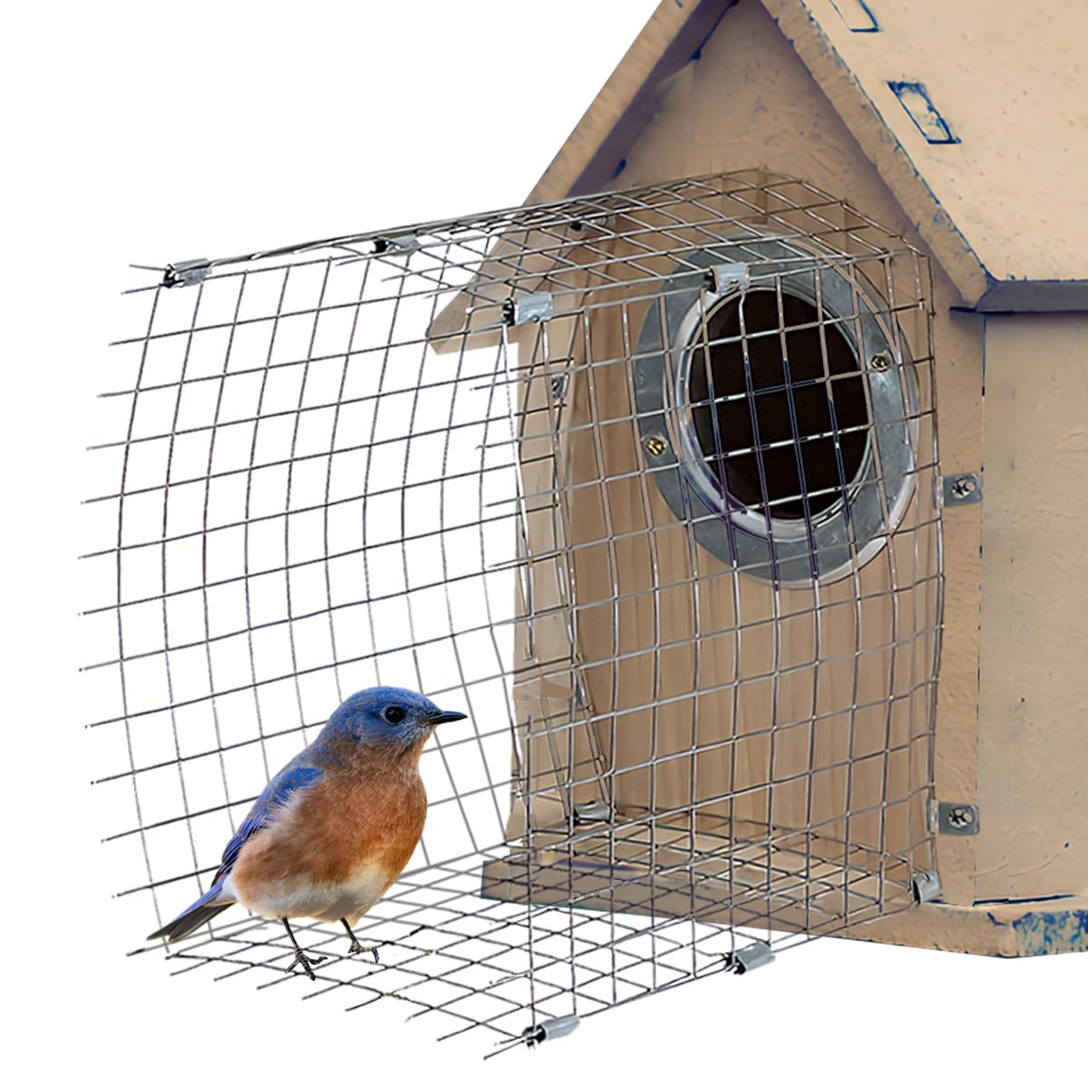 2 Pcs Blue Bird House Predator Guards, Wire Entrance Guard, Snake Guard, Birdhouse Hole Protector for Eastern Bluebird and Their Babies Safe (Square)