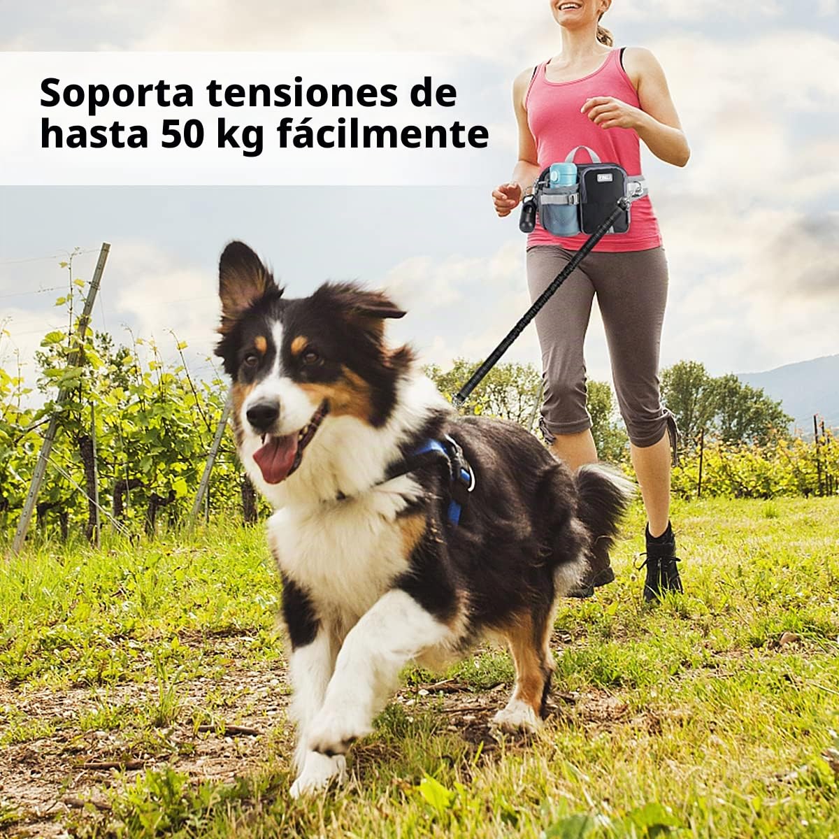 ETACCU Correa Perro para Correr, Manos Libres, Elástica, Running, para Perros Grande, Cinturones de Cintura Ajustables con Funda Teléfono, Costuras Reflectantes, 124-180 cm
