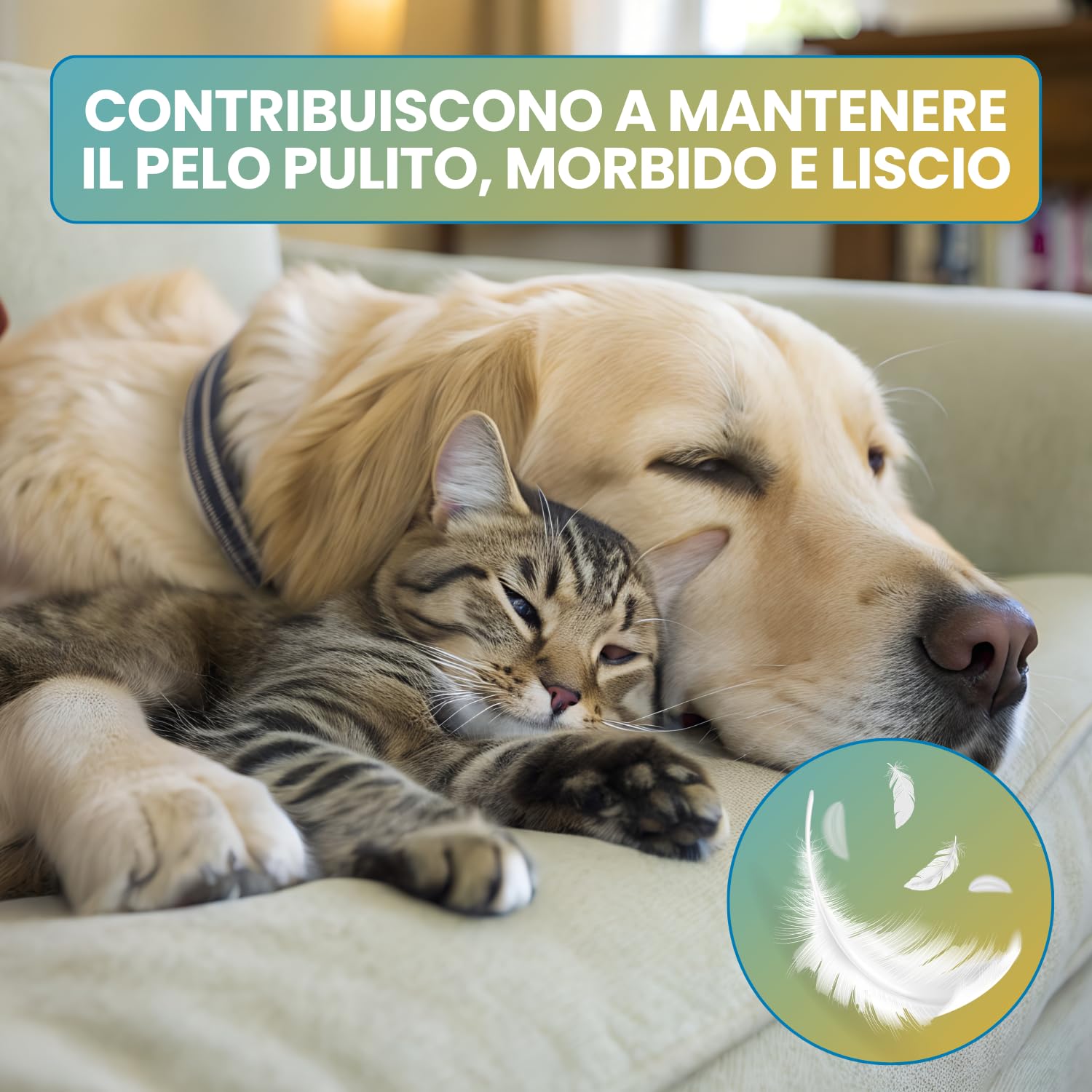 Salviette per Cani e Gatti (1000 unità) – detergenti e idratanti – per Occhi, Orecchie, Zampe e Pelo – igiene Quotidiana Animale – Confezione 20 x 50 salviettine
