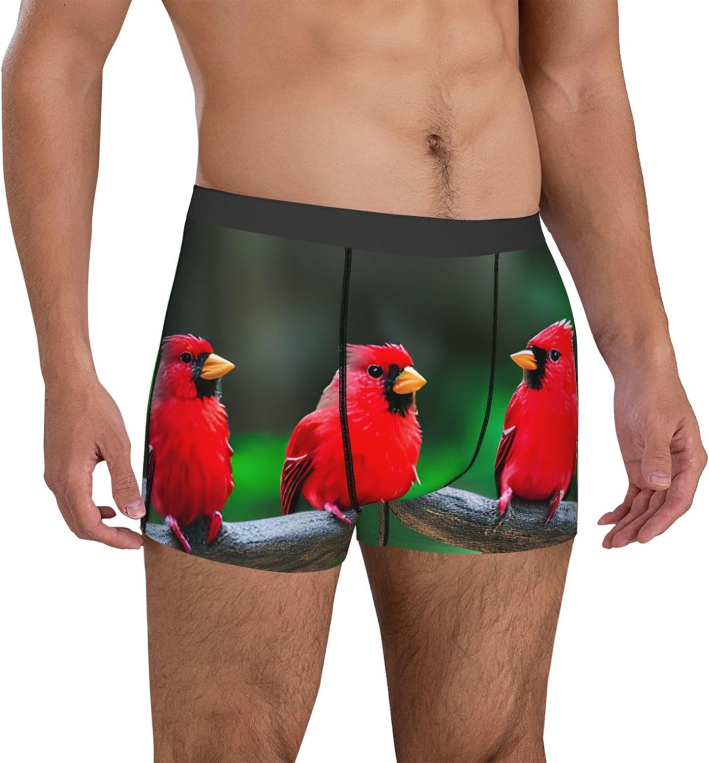 Red Cute Birds Print Men'S Boxer Briefs Soft Breathable Polyester Fabric With Comfortable