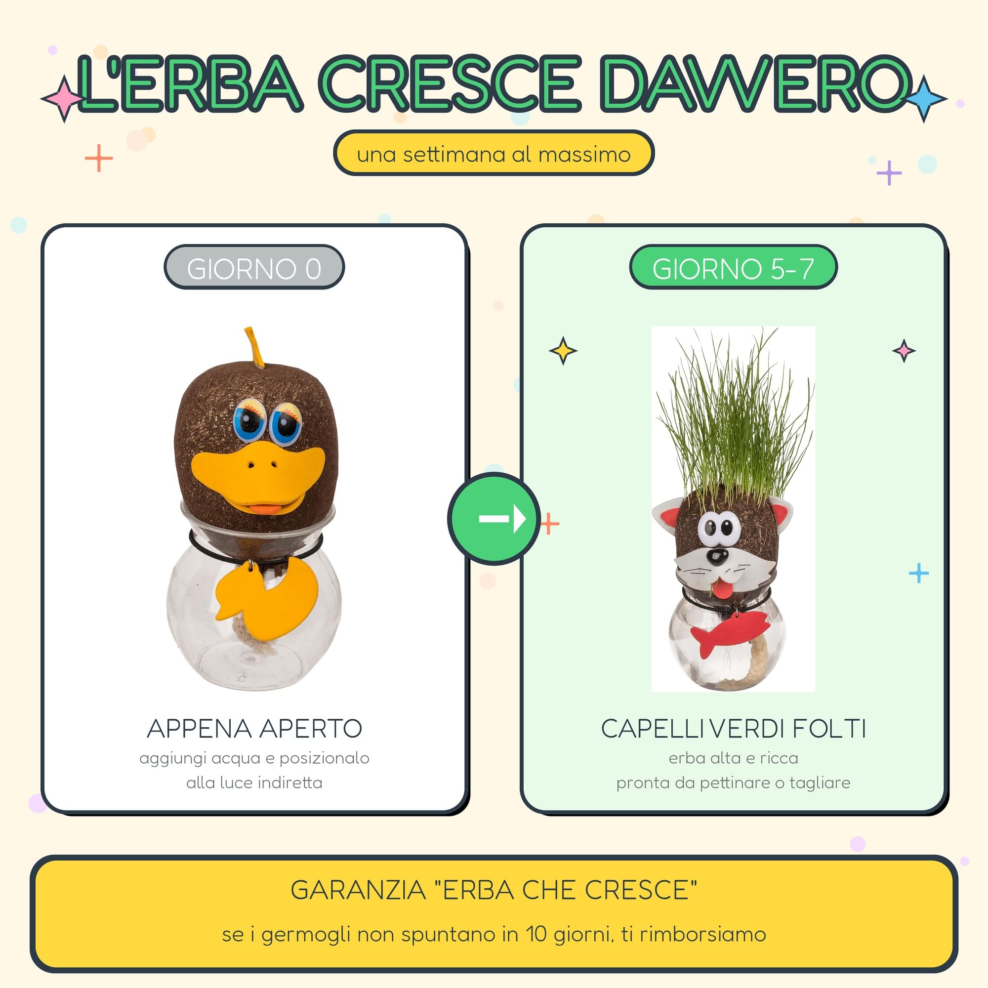 Testa Erba Che Cresce Scimmia - Pianta Capelli Scimmietta con Vasetto e Ciondolo Banana - Idea Regalo Originale Divertente Collega - Decorazione Scrivania Ufficio - Grass Head 12,5 cm