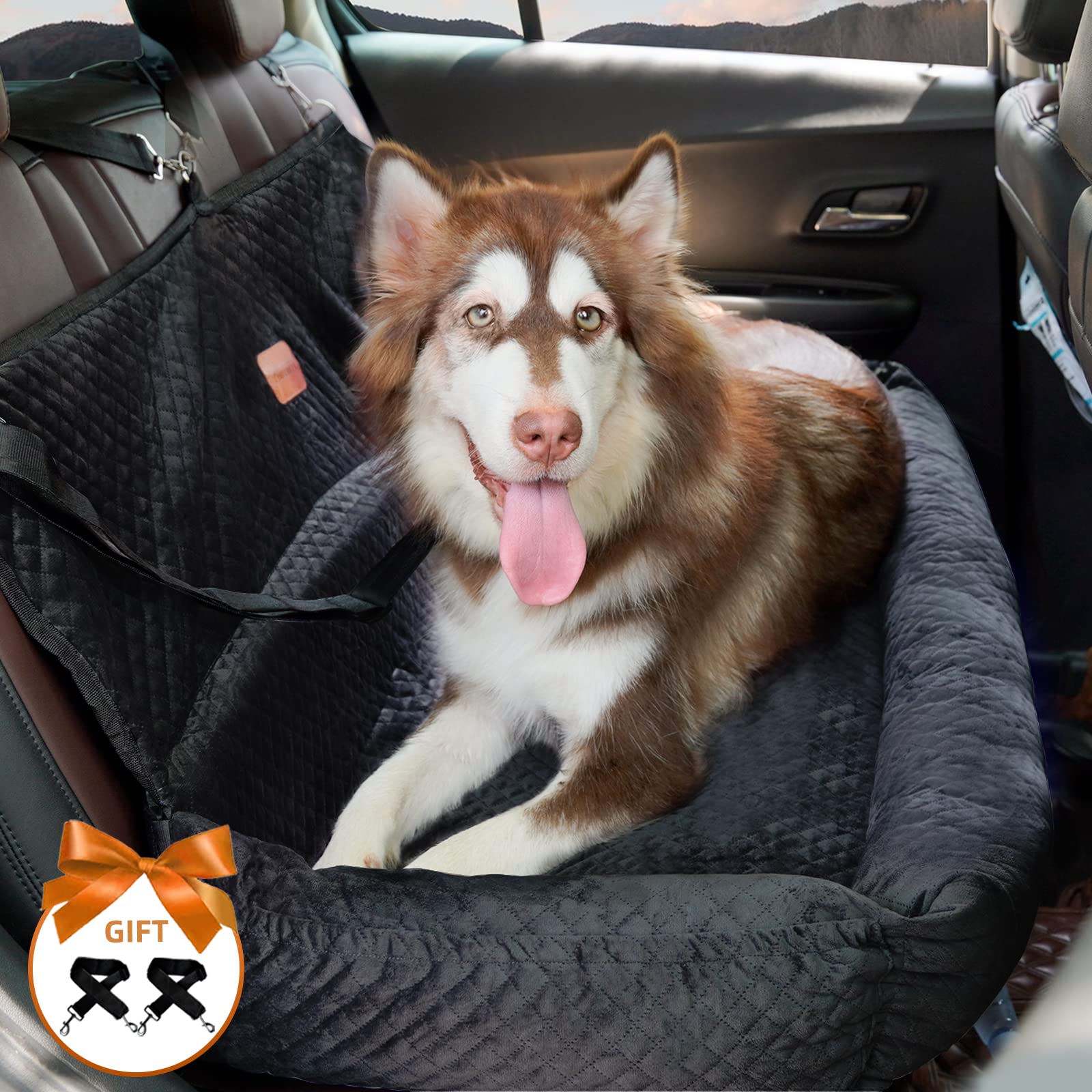 How Do You Travel With A New Puppy In The Car