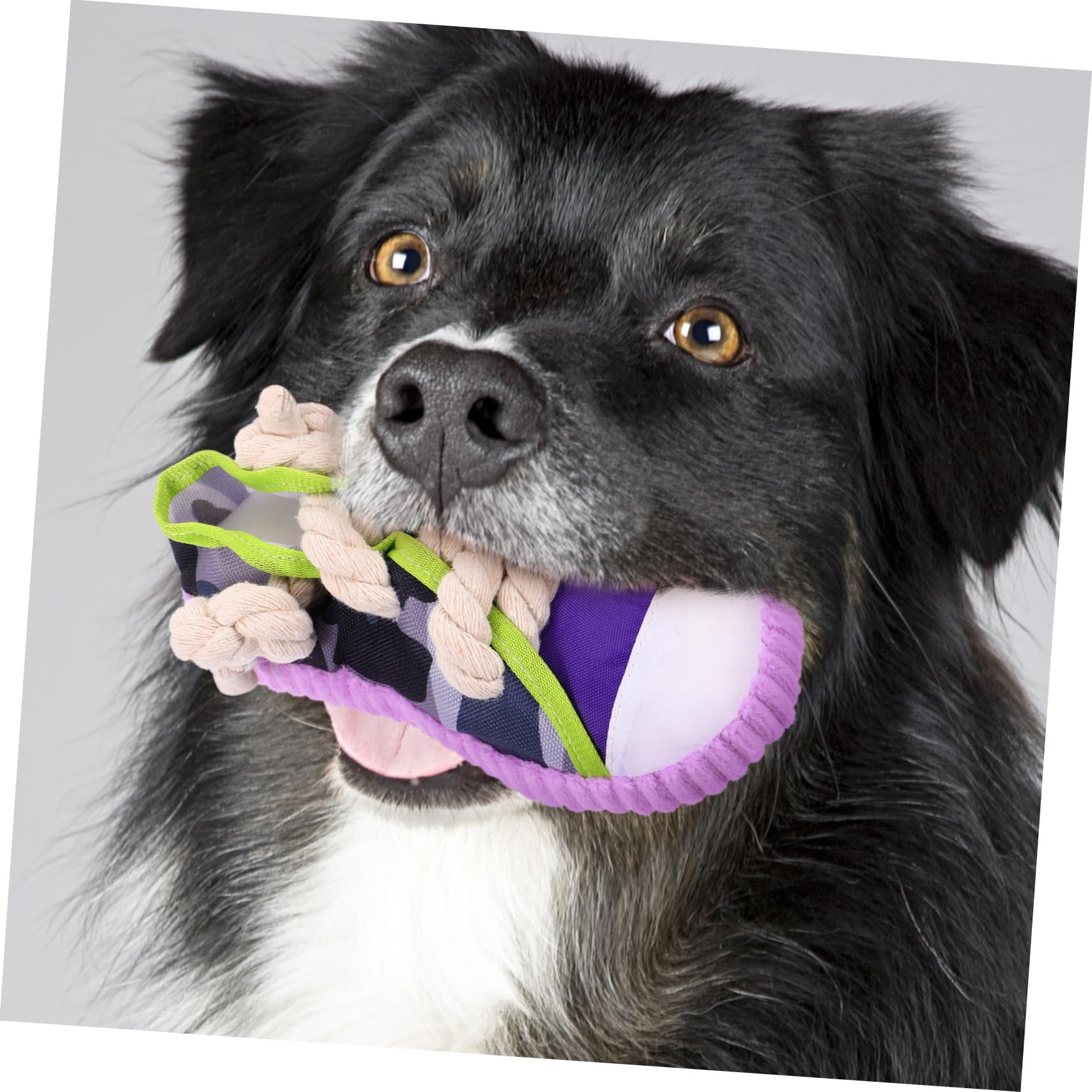 Homoyoyo Giocattolo per Cani a Forma di Scarpa, Masticativo Corda di Cotone e Tessuto Canvas, Cigolante, per Cuccioli e Cani Medi