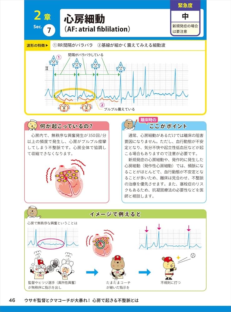 あなたの心にビビッ!と届く臨床心電図判読上達ハートフルガイド