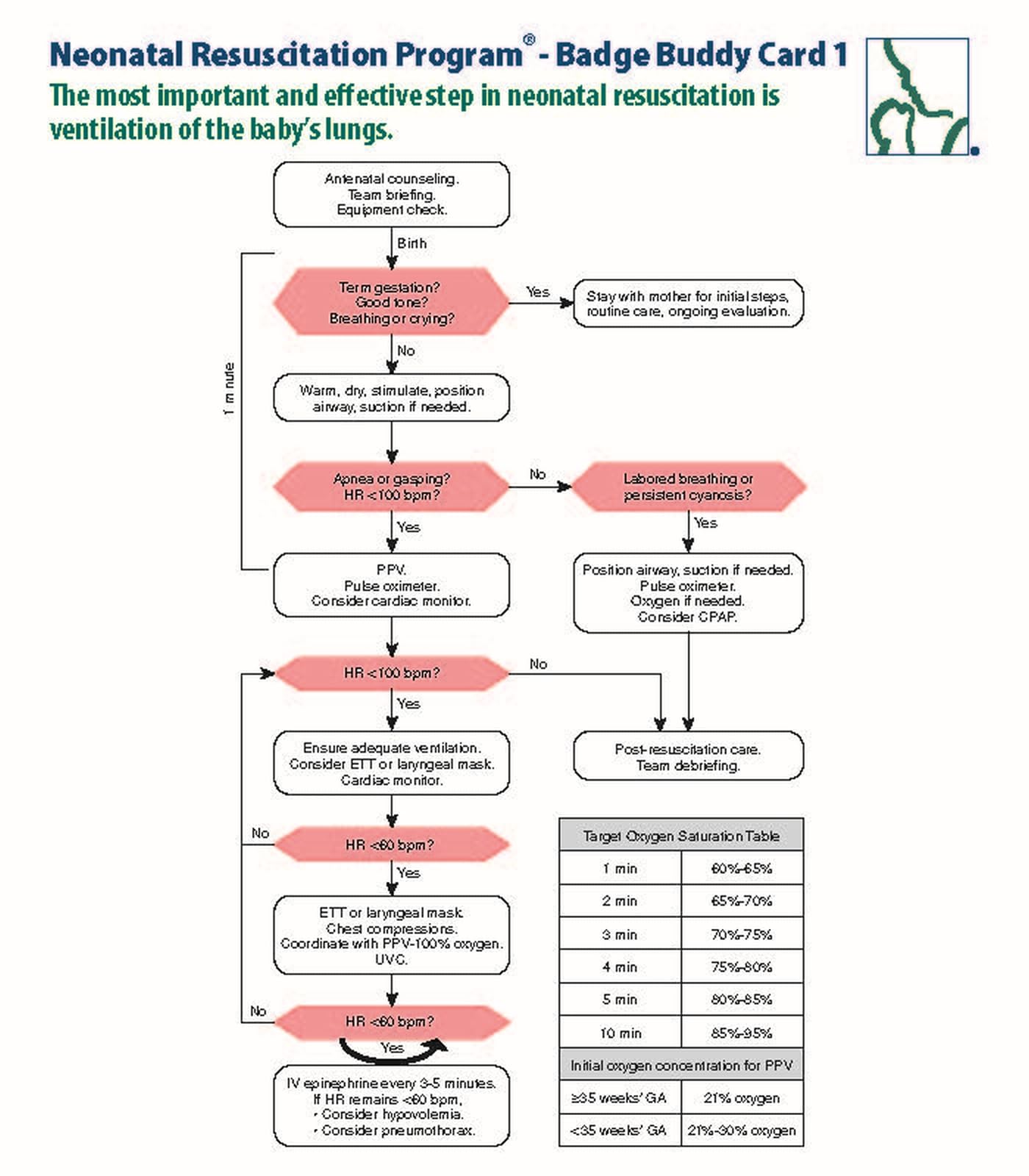NRP Badge Buddy Card 1 and 2 8th Edition