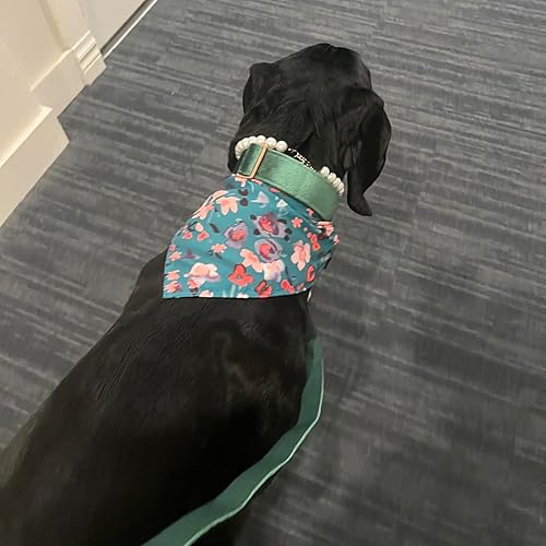 Miniatura 5 de ARING PET Juego de collar y correa de terciopelo para perro, collar y correa suaves para perros, collares ajustables para perros