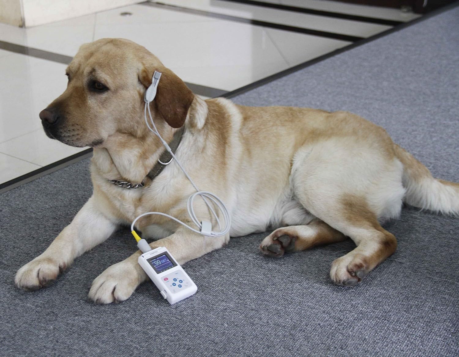 BLUEZY Tragbares Veterinär-Pulsfrequenzmessgerät, Veterinär-Pulsoximeter Mit Sonde Und USB-Kabel, Speicher- Und Wiedergabefunktion Für Katzen, Hunde, Haustiere Krankenhaus