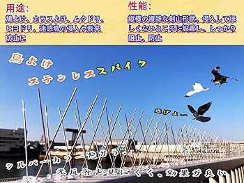 大特価⭐️鳩避け 鳥よけグッズ 100%ステンレス製 ロングスパイク 簡単設置 楽天市場】鳥よけ 鳩よけ カラスよけ ステンレス スパイク
