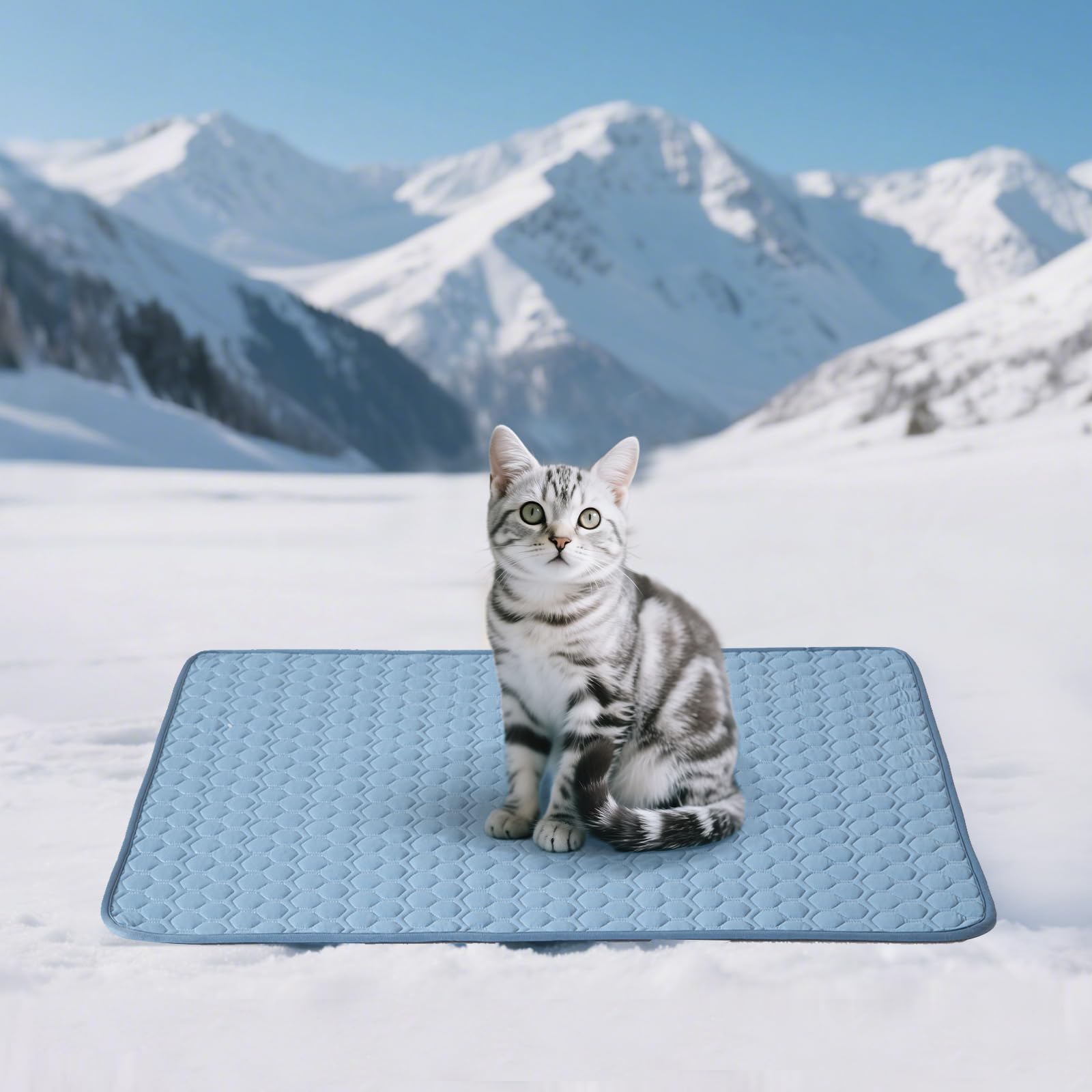 Soulbond Cooling Mat for Large Dogs - 25" x 35" Washable Cooling Mat for Cats, QMAX>0.3, Anti-Slip Bottom, Portable Summer Cool Puppy Bed Pad for