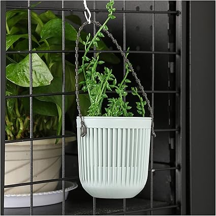 Amazon Co Jp ハンギングプランターバスケット 庭の屋内の家の装飾のためのプラスチックのぶら下がったプランターの創造的な単純な二重層の植木鉢の台紙の飾り花瓶バスケット 植木鉢をぶら下げ Color Green Diy 工具 ガーデン Amazon Co Jp ハンギングプランターバスケット 庭の屋内の家の装飾のためのプラスチックのぶら下がったプランターの創造的な単純な二重層の植木鉢の台紙の飾り花瓶バスケット 植木鉢をぶら下げ Color Green Diy 工具 ガーデン