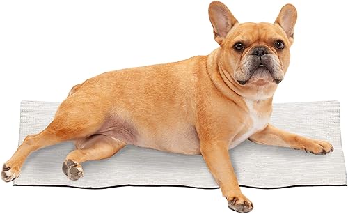 Furhaven- Cama para perro, resistente al moho, malla transpirable y fresca, cama elevada, cobija para mascotas e inserto de alfombrilla de