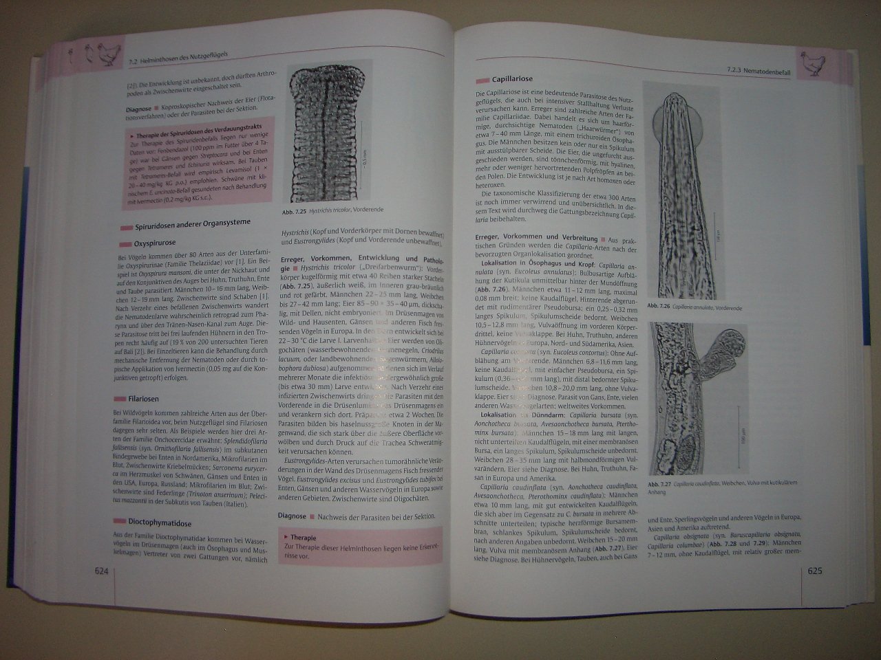 Veterinärmedizinische Parasitologie