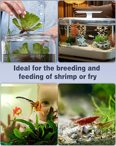 Miniatura 6 de Pawfly Mini filtro de esponja para acuario, filtro interno de tanque de peces pequeño con espuma y filtro de esponja biológica sumergible para