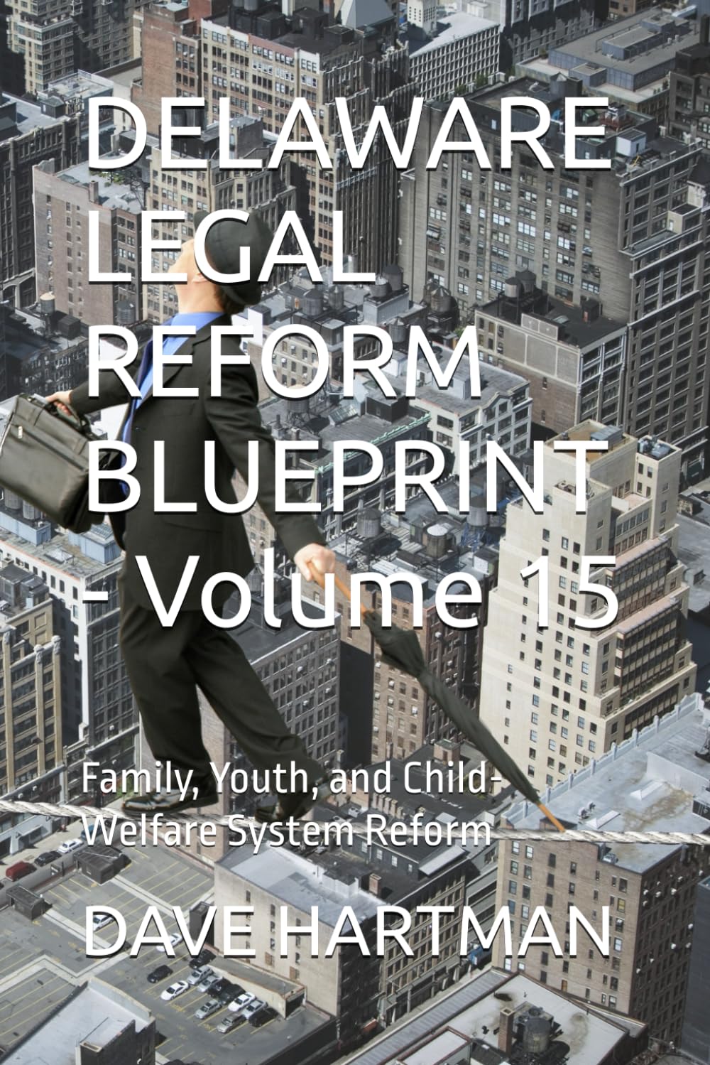 DELAWARE LEGAL REFORM BLUEPRINT - Volume 15: Family, Youth, and Child-Welfare System Reform: 17 (Delaware Legal Reform Series)