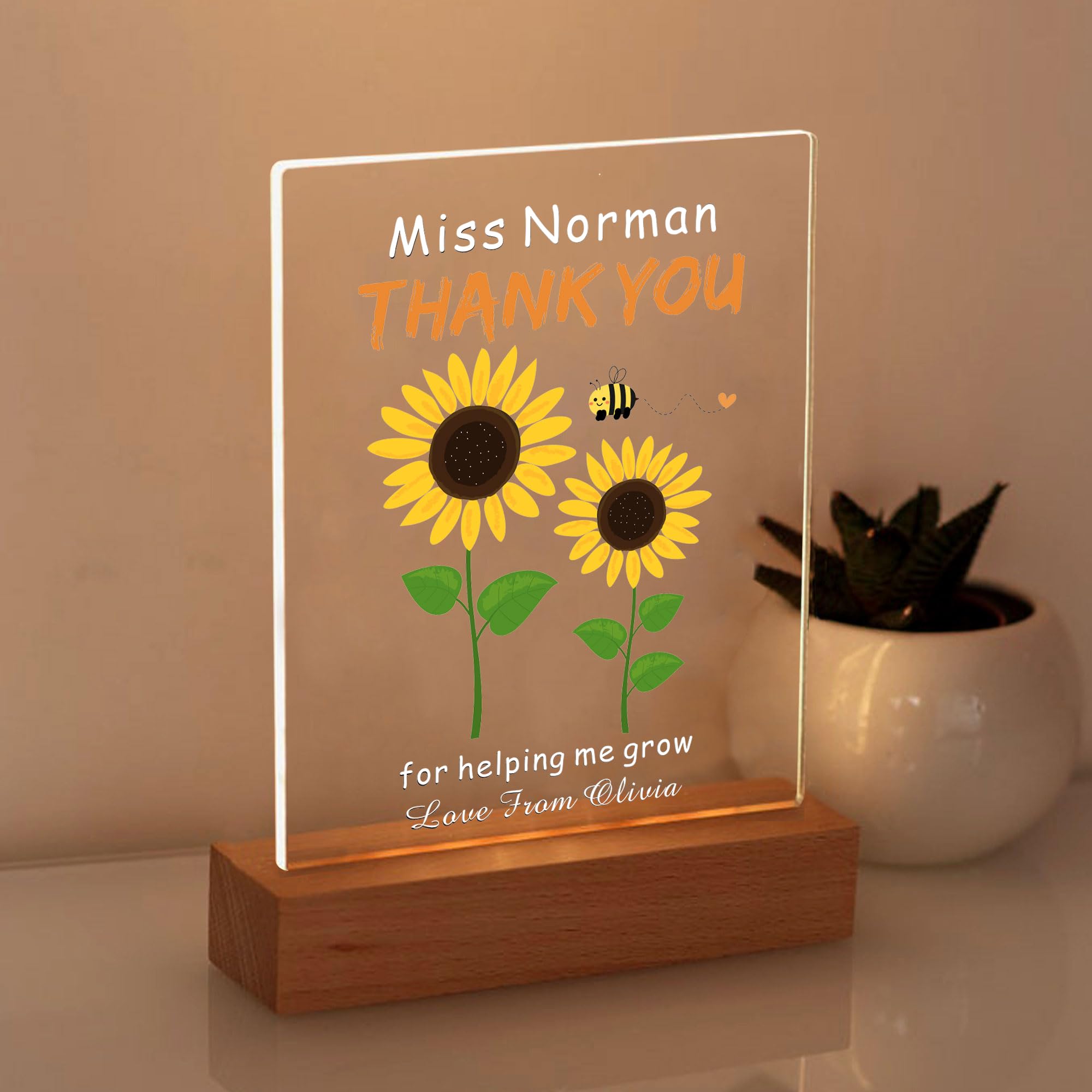 Thank You Cards Led Persoanlised Teacher Gifts for Women Men Thank You Teacher Gifts Light Up Acrylic Plaque Thank You Gifts Best Teacher Gift for Nursery End of Term Gifts (Design 2)