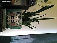 Review Image by Hamza E.