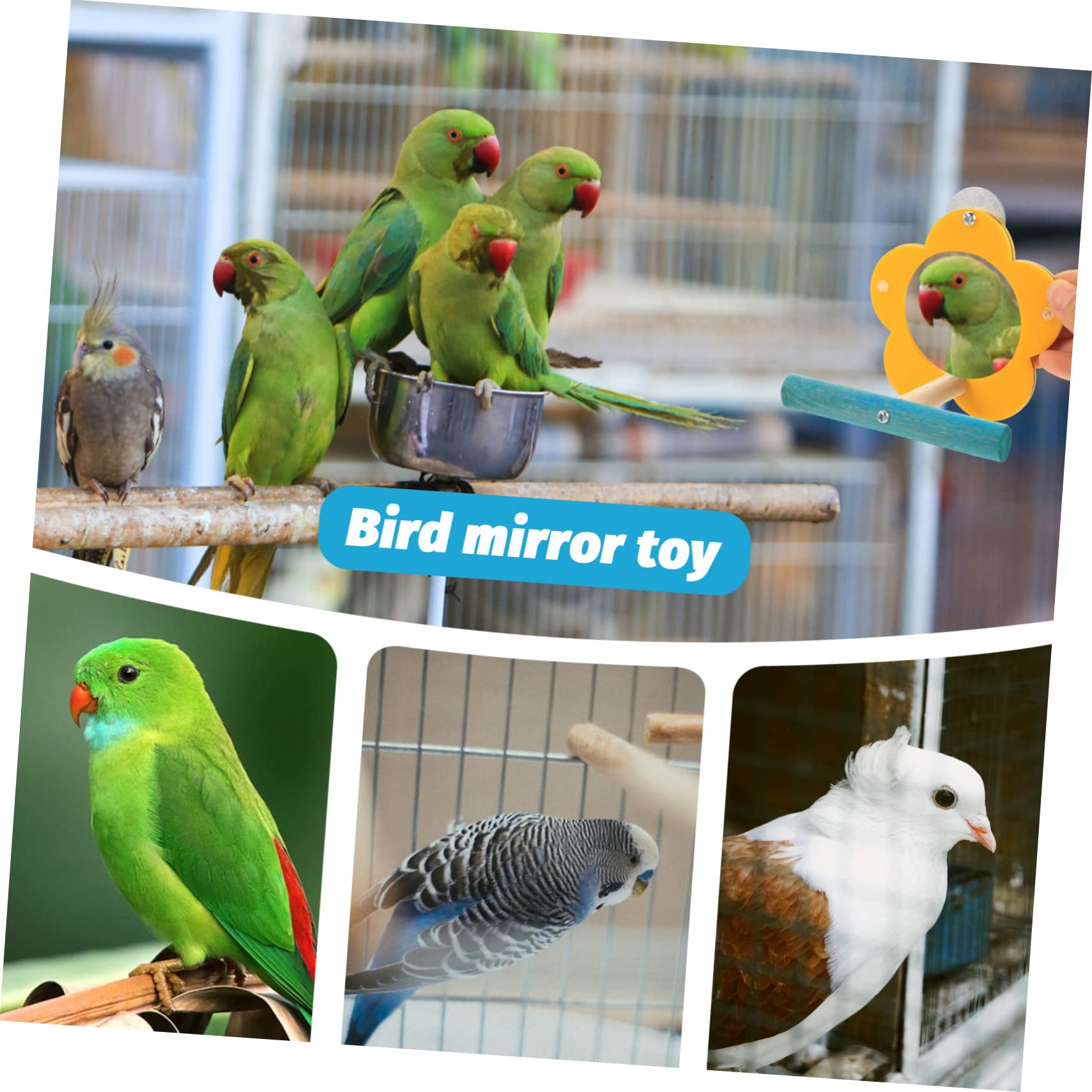BESPORTBLE 5piezas Espejo Interactivo De Acrílico para Aves Juguete Educativo para Entrenamiento De Loros para y Decorar Jaulas De Aves