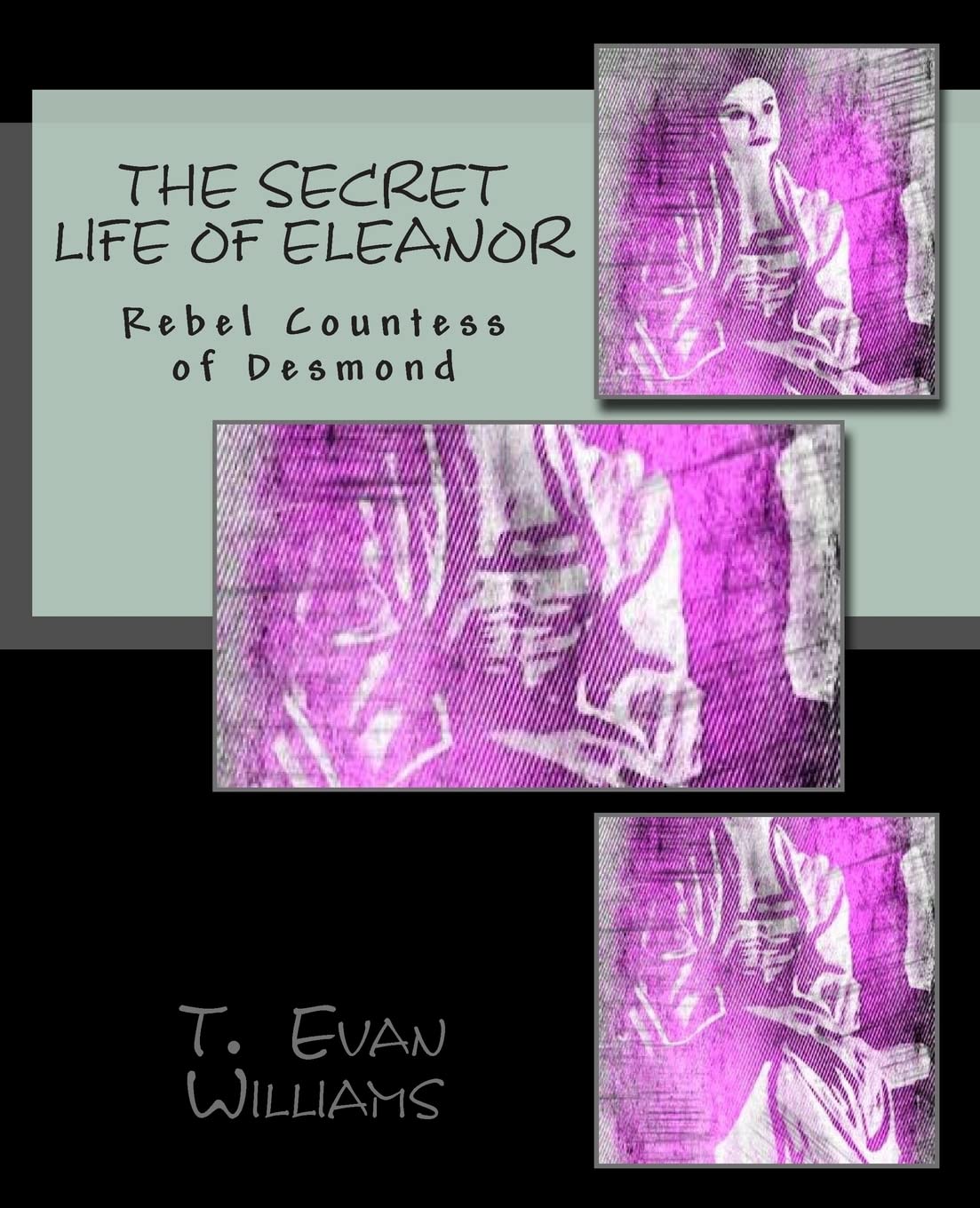 The Secret Life of Eleanor: Rebel Countess of Desmond: Volume 1