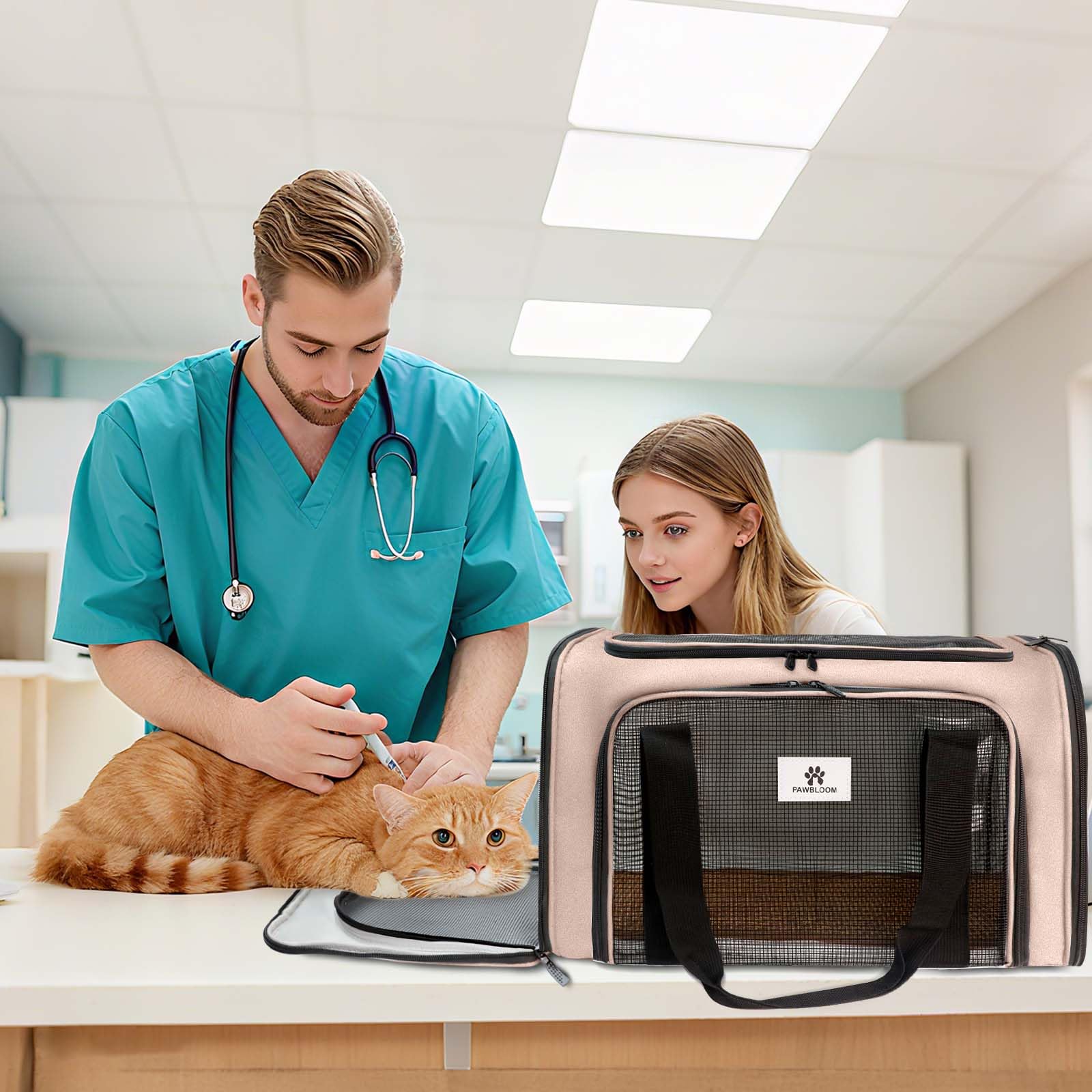 Katzentransportbox, Faltbare Transportbox Katzen und Hunde mit Plüsch-Einlage und Kühlmatte aus Strohgeflecht – für alle Jahreszeiten geeignet, Ideal für Der Gang zum Tierarzt Auto Fugzeug