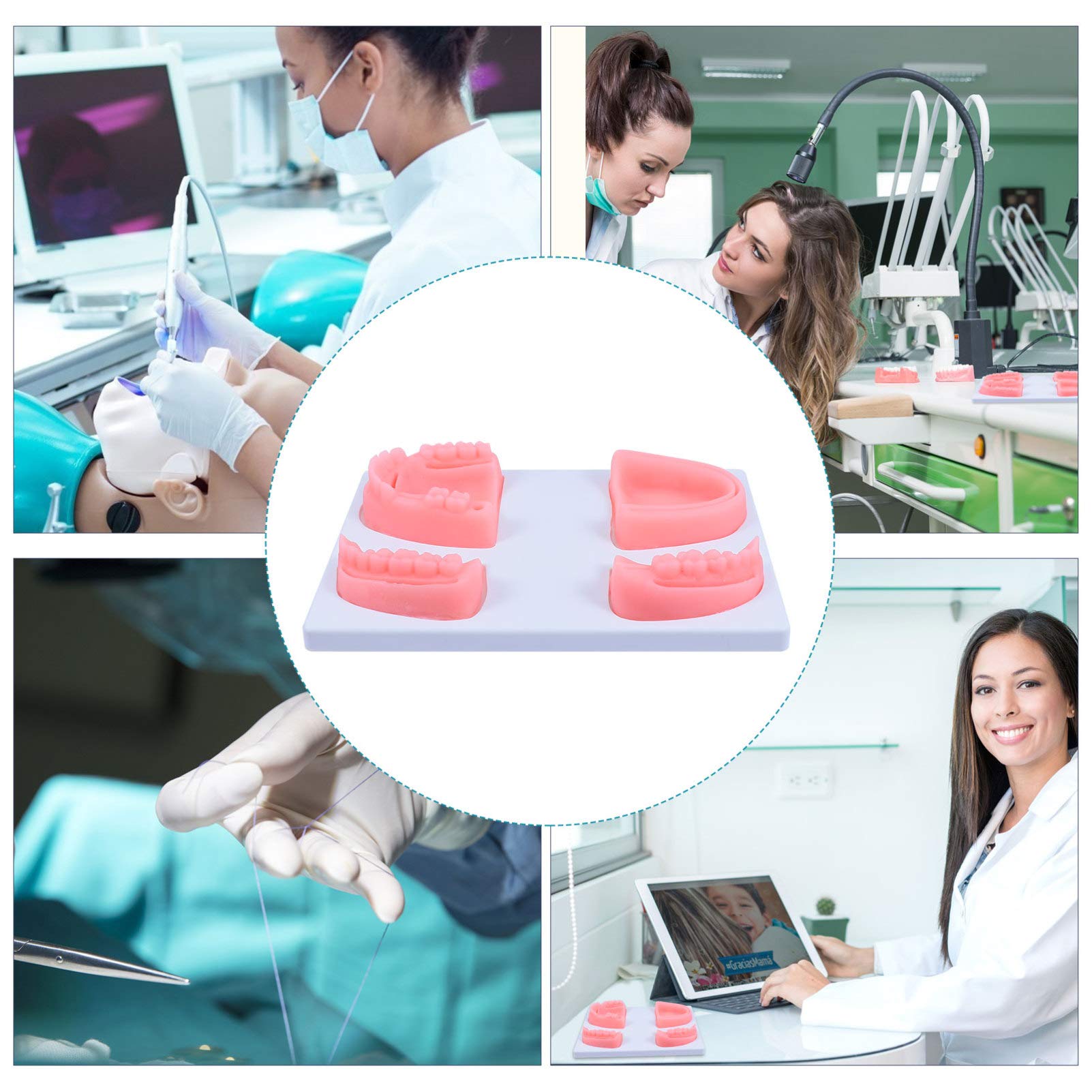 Scicalife Oral Suture Training Model Silicone Dental Suture Pad Kit for