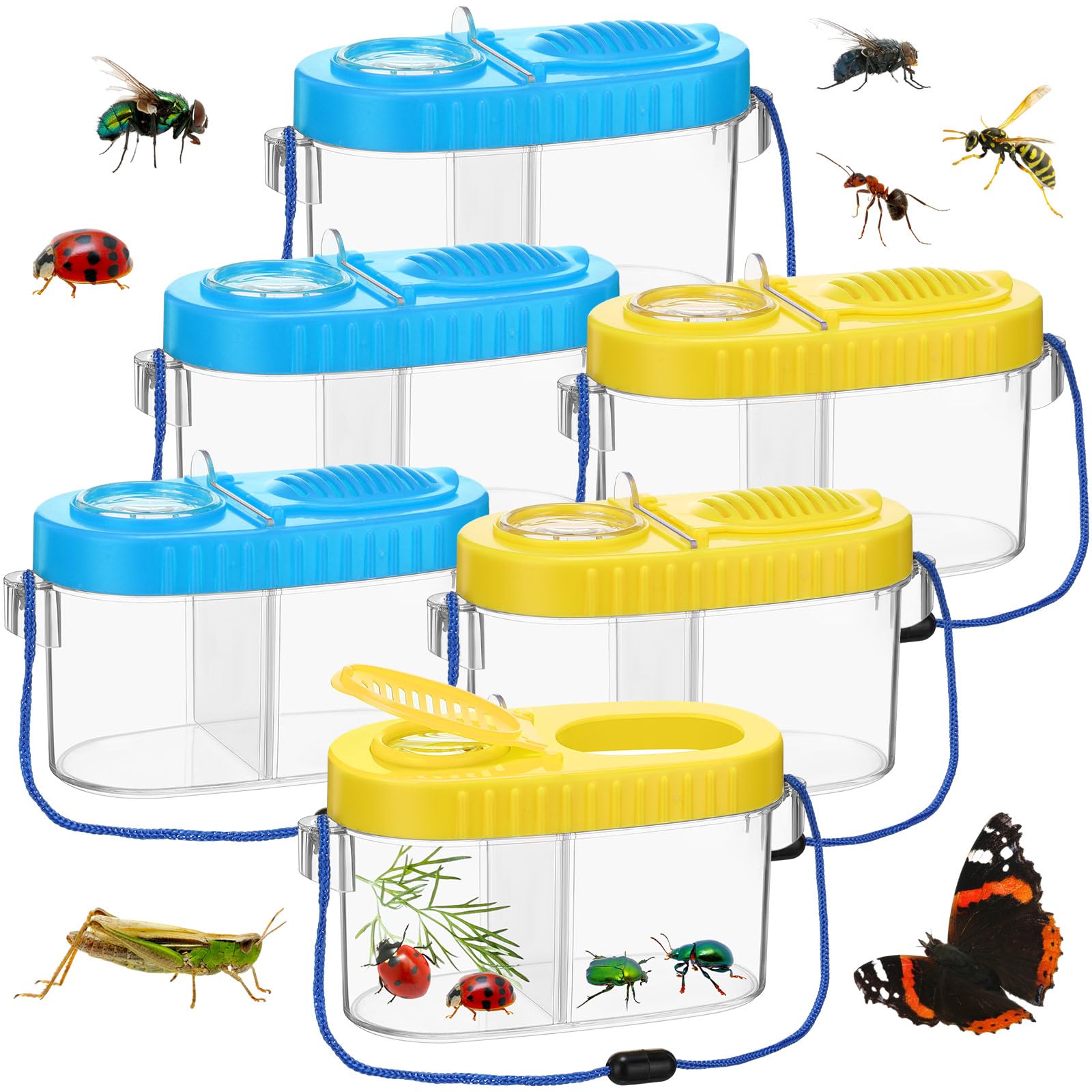 Amazon.com: 6 Pack Bug Catcher Kit for Kids Bulk Insect Habitat