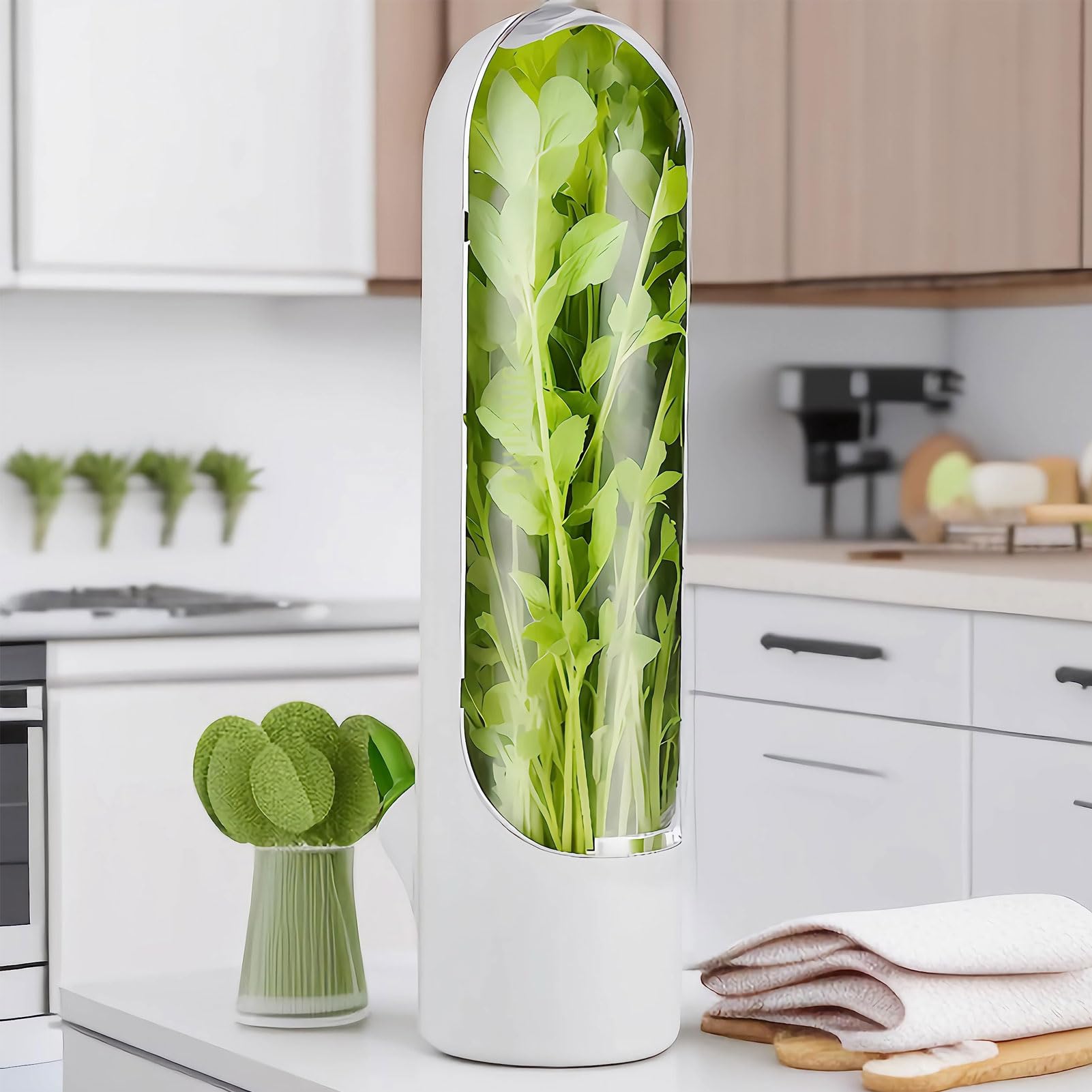 Lodówka Cilantro Saver Keeper Pandper na Warzywa Pietruszka Zioła, Chłodne Pojemniki na lodówkę