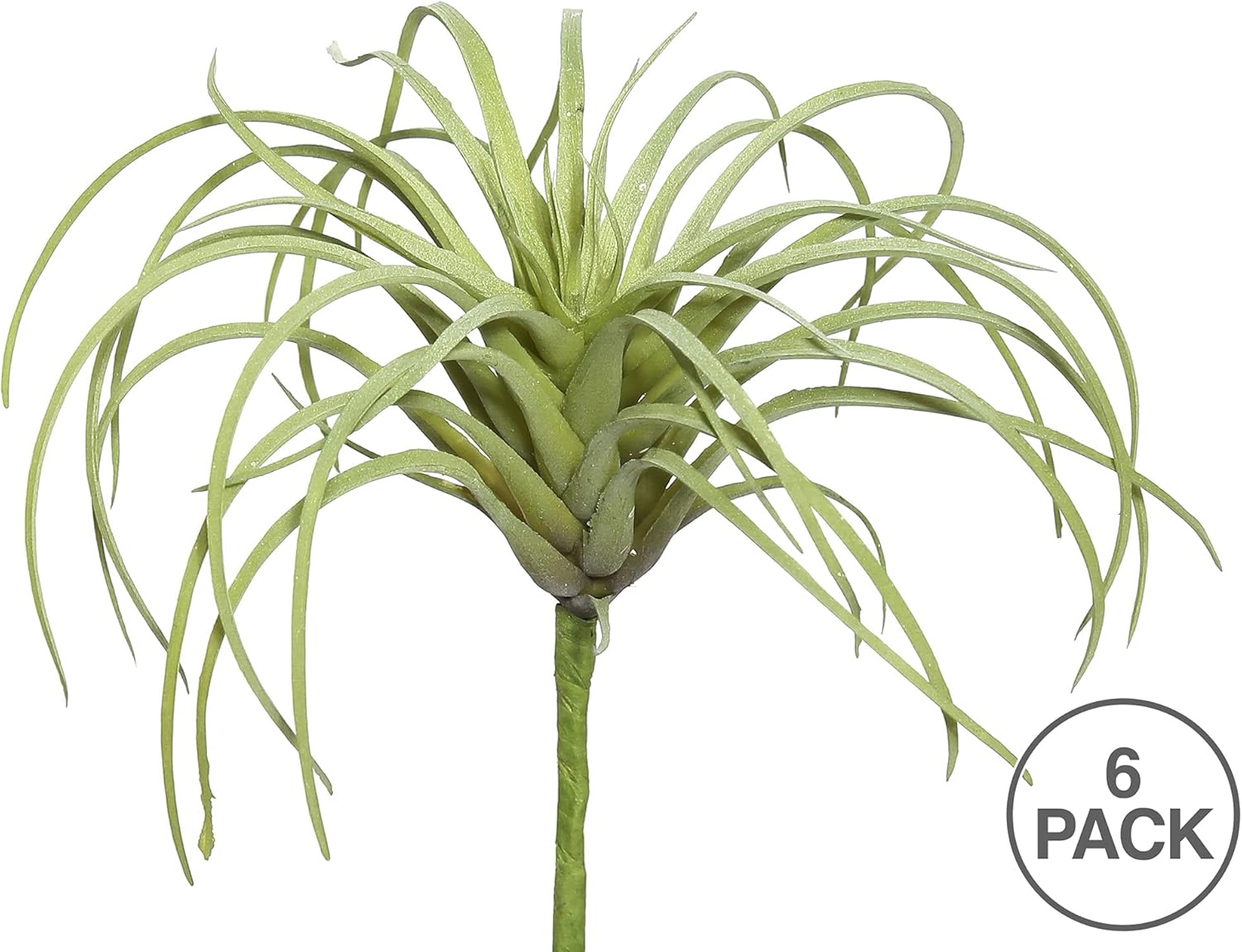 Vickerman Everyday 5" Indoor Artificial Green Tillandsia Pick - Decorative Pick of Durable Polyester Greenery for Home Or Office - Maintenance Free - 6 per Pack