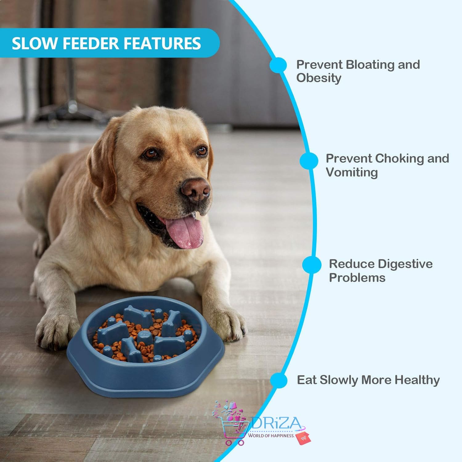 Slow Feeding Dog Bowl by DRIZA | Interactive Bloat Stop Bowl Dishes Non-Slide Dog Lick Treat Bowl | Dog Puzzle Bowl(Pack of 1) 4